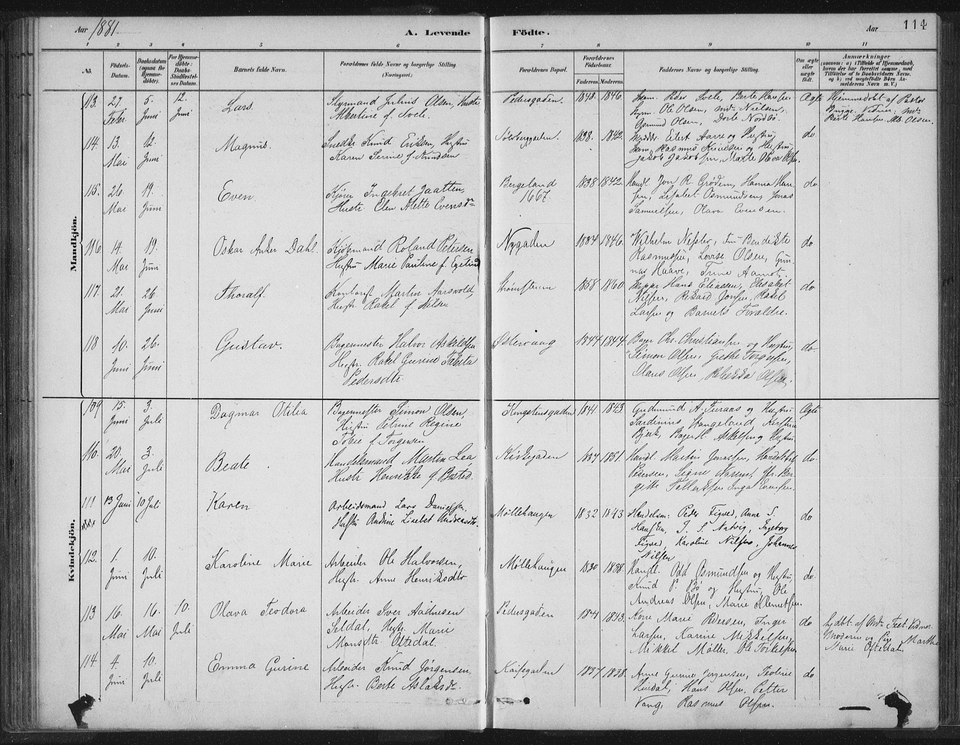 St. Petri sokneprestkontor, AV/SAST-A-101813/001/30/30BB/L0004: Klokkerbok nr. B 4, 1878-1890, s. 114