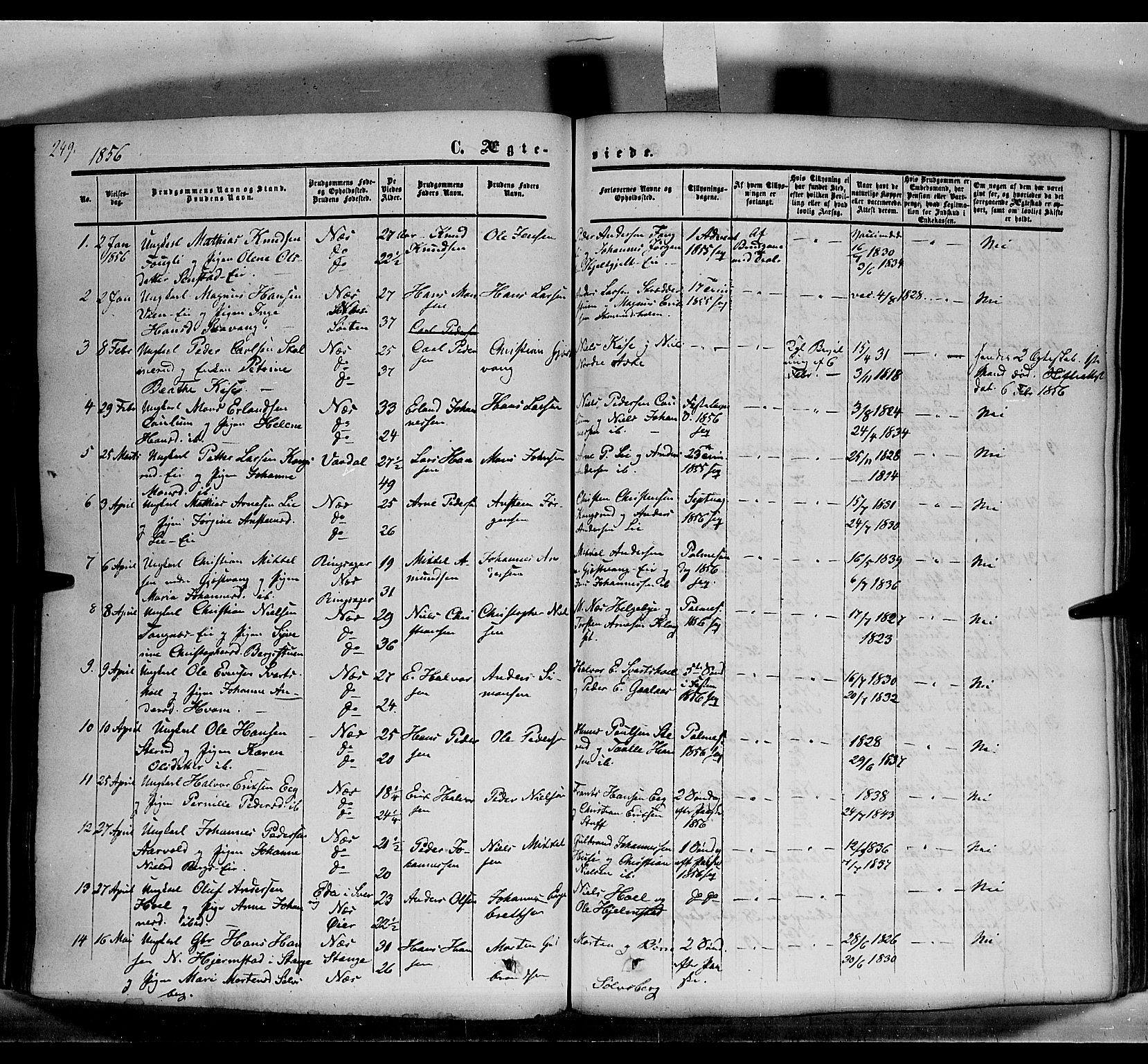 Nes prestekontor, Hedmark, AV/SAH-PREST-020/K/Ka/L0004: Ministerialbok nr. 4, 1852-1886, s. 249