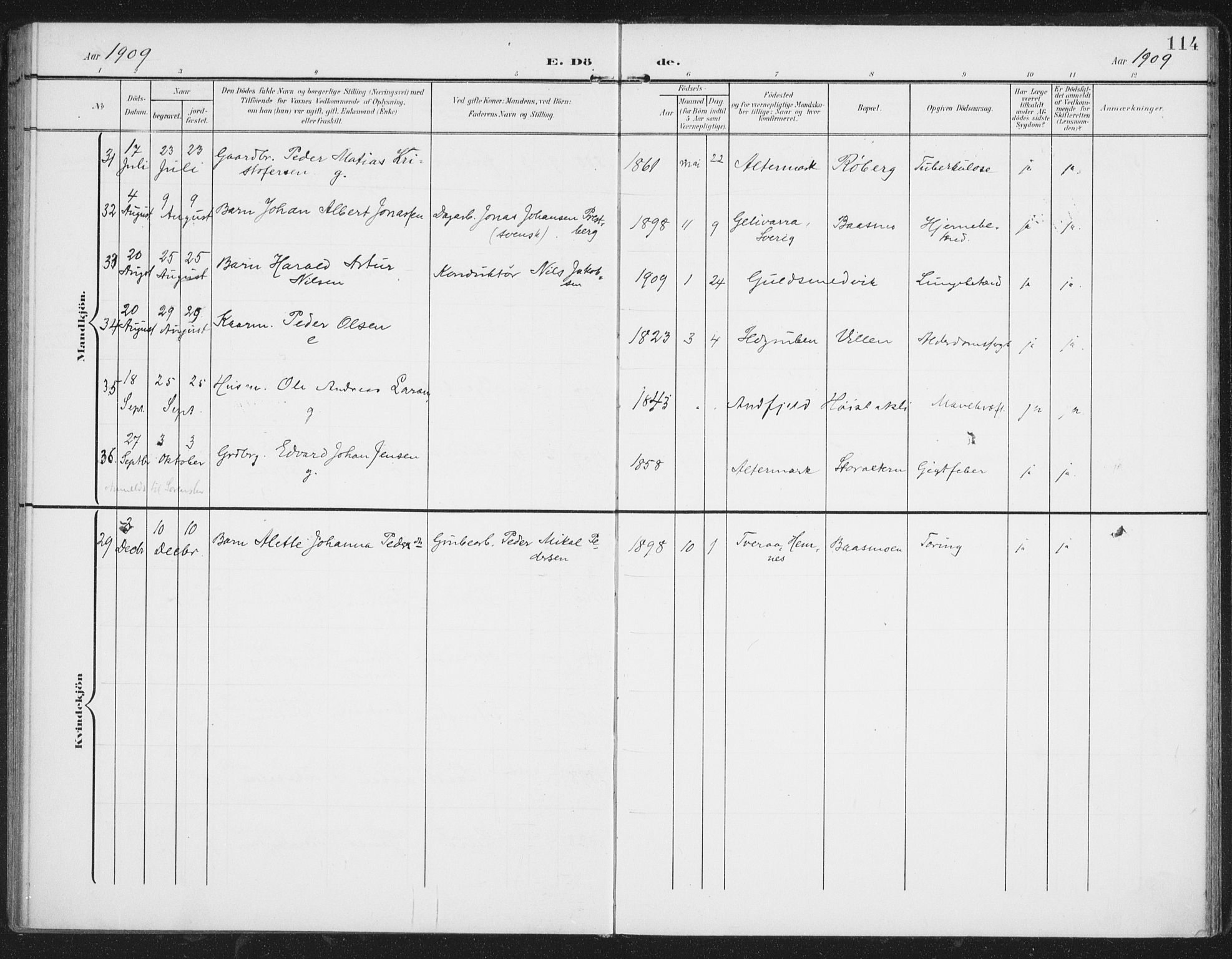 Ministerialprotokoller, klokkerbøker og fødselsregistre - Nordland, AV/SAT-A-1459/827/L0403: Ministerialbok nr. 827A15, 1903-1912, s. 114