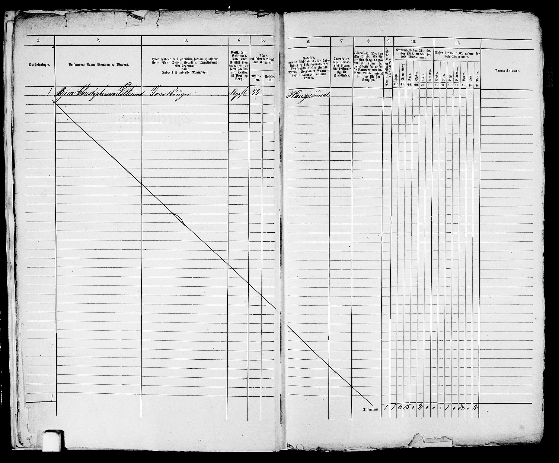RA, Folketelling 1865 for 1106B Torvastad prestegjeld, Haugesund ladested, 1865, s. 14