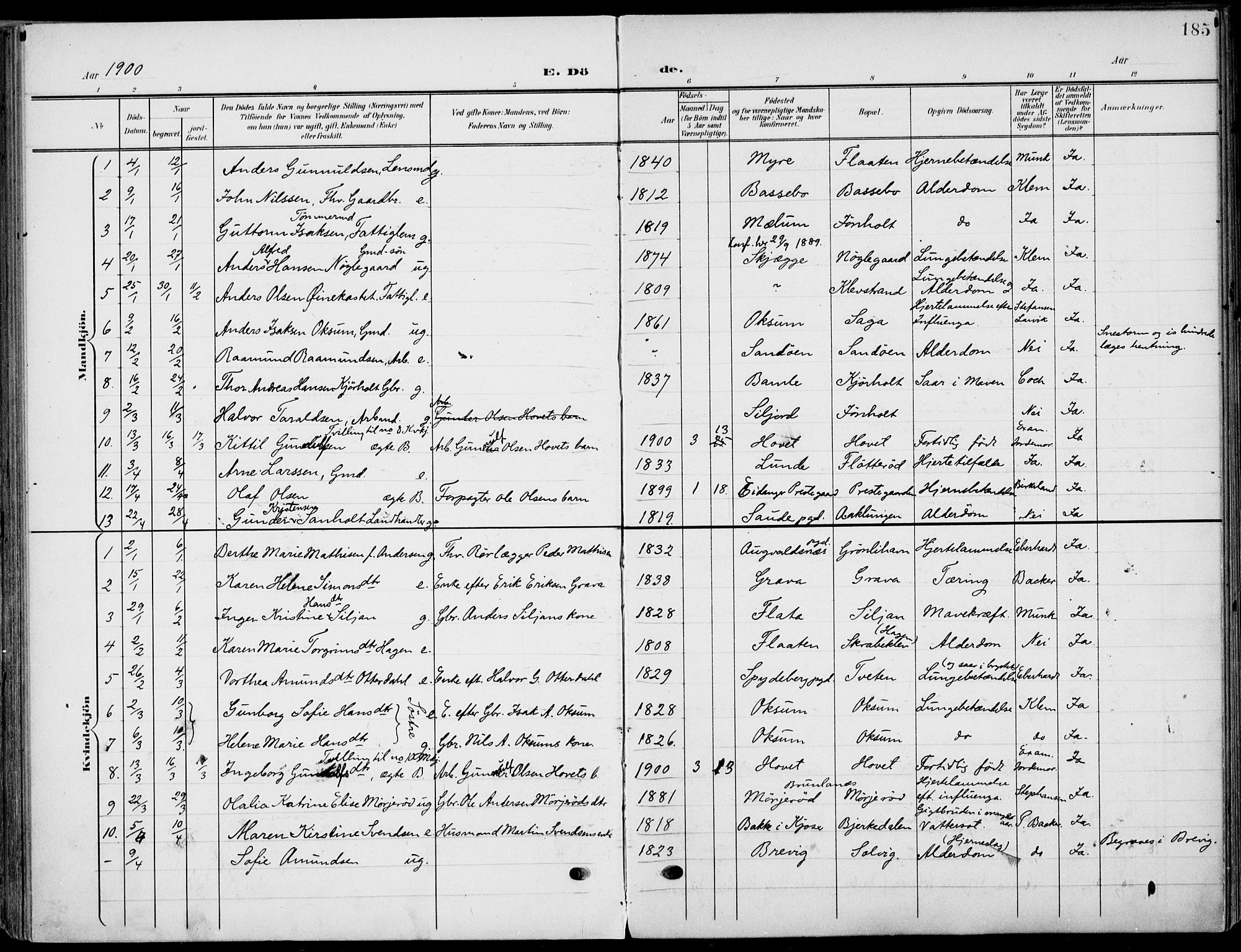 Eidanger kirkebøker, AV/SAKO-A-261/F/Fa/L0013: Ministerialbok nr. 13, 1900-1913, s. 185