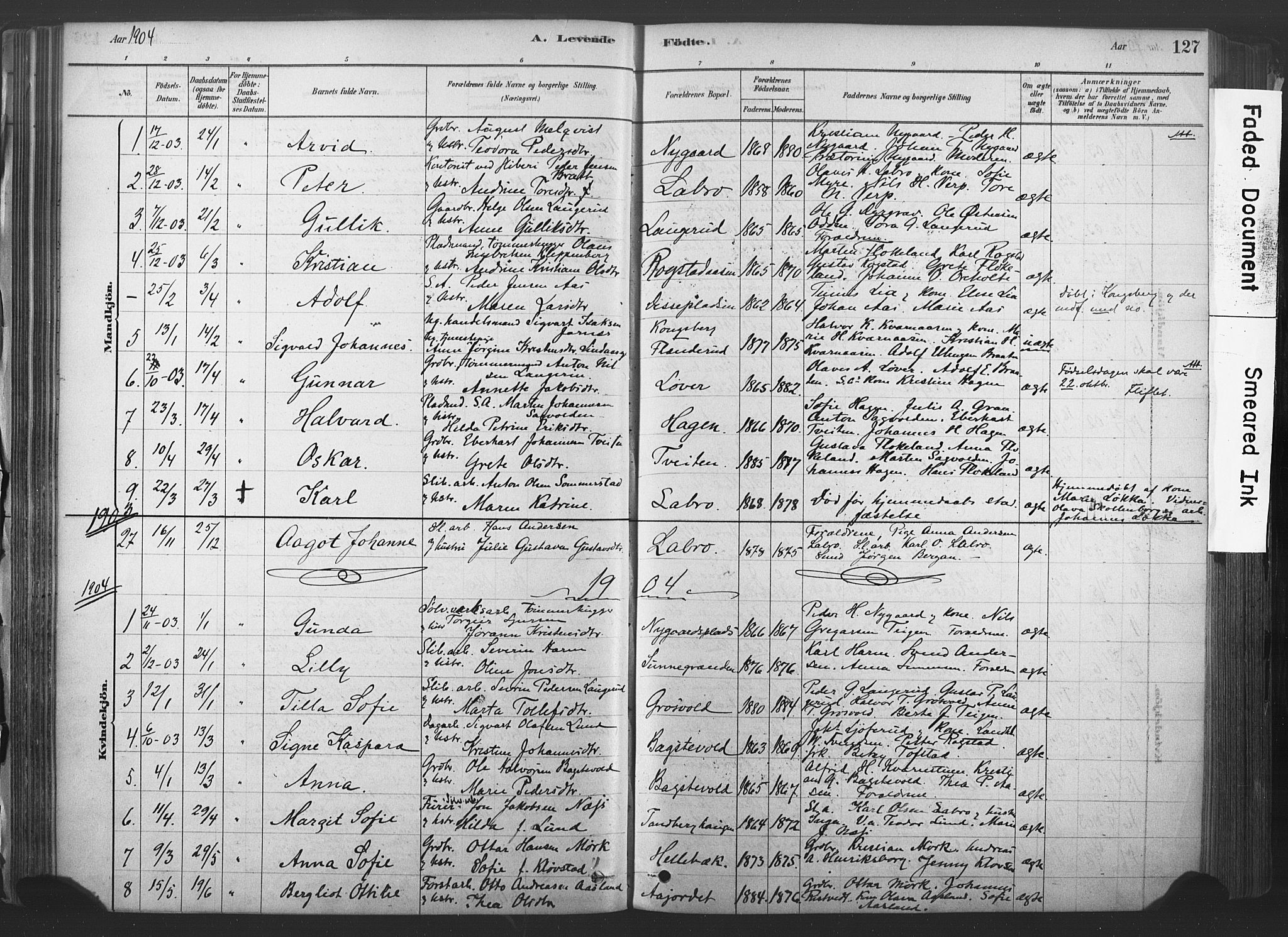 Sandsvær kirkebøker, AV/SAKO-A-244/F/Fd/L0001: Ministerialbok nr. IV 1, 1878-1906, s. 127