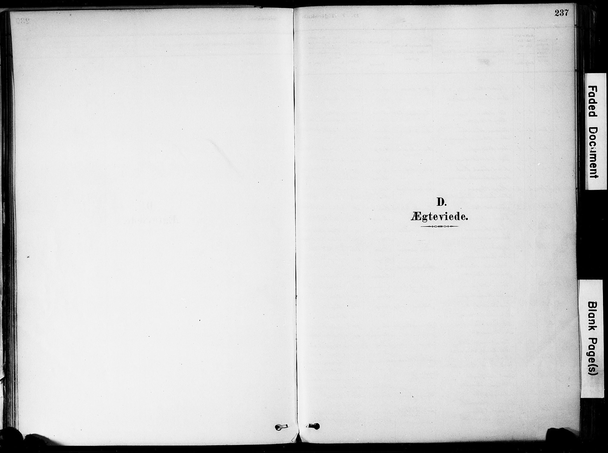 Botne kirkebøker, SAKO/A-340/F/Fa/L0007: Ministerialbok nr. I 7, 1878-1910, s. 237
