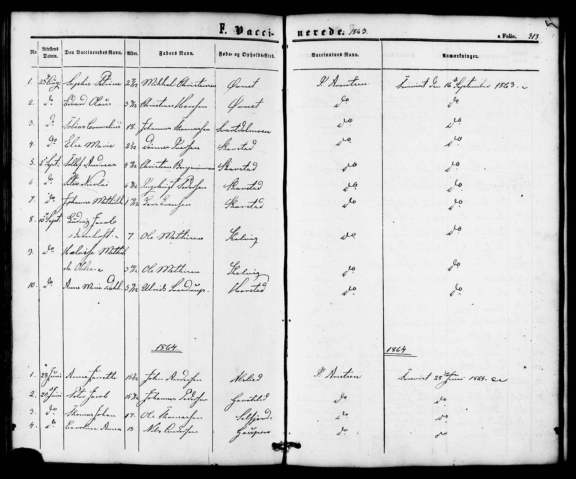 Ministerialprotokoller, klokkerbøker og fødselsregistre - Nordland, AV/SAT-A-1459/810/L0146: Ministerialbok nr. 810A08 /1, 1862-1874, s. 313