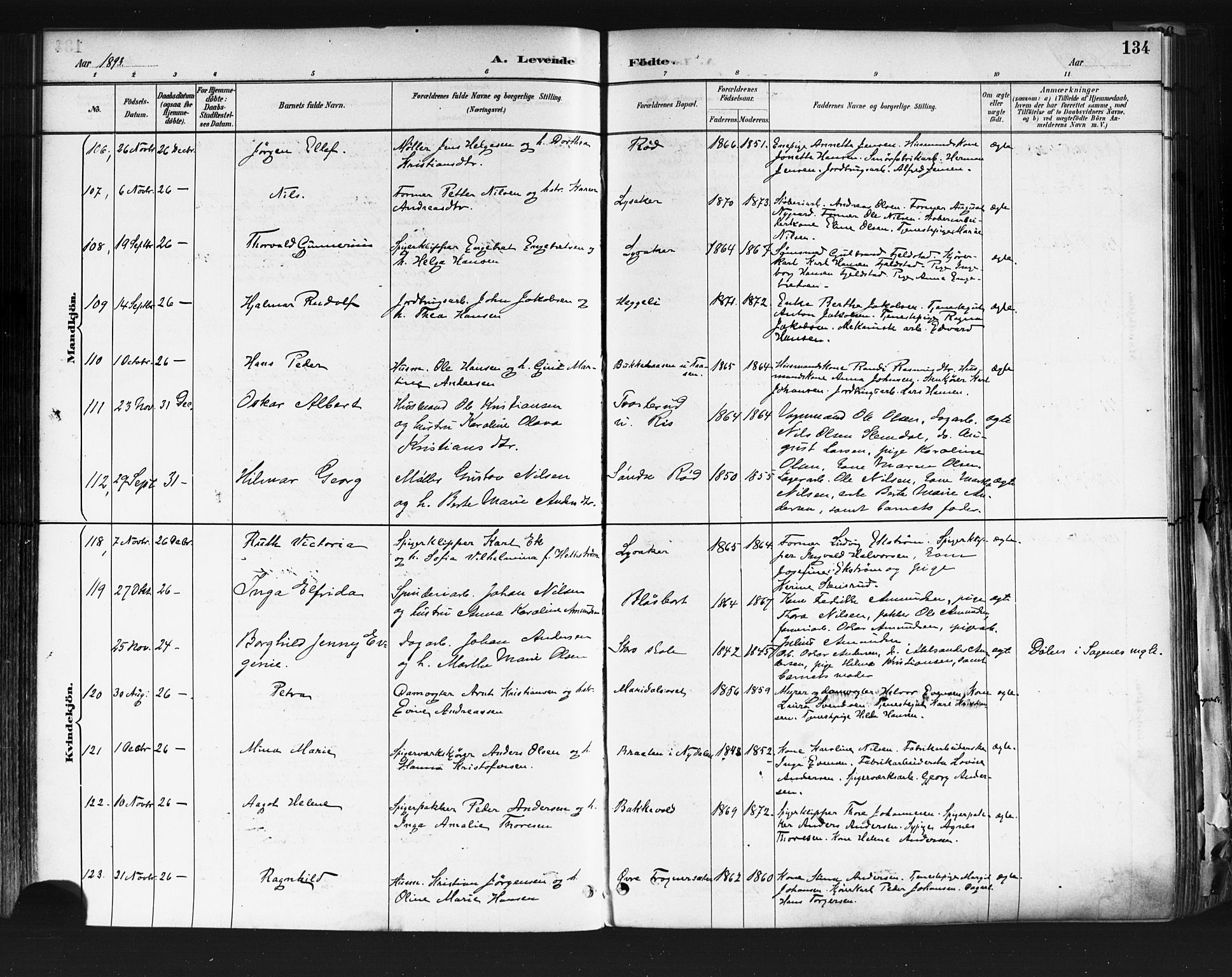 Vestre Aker prestekontor Kirkebøker, AV/SAO-A-10025/F/Fa/L0010: Ministerialbok nr. 10, 1886-1903, s. 134