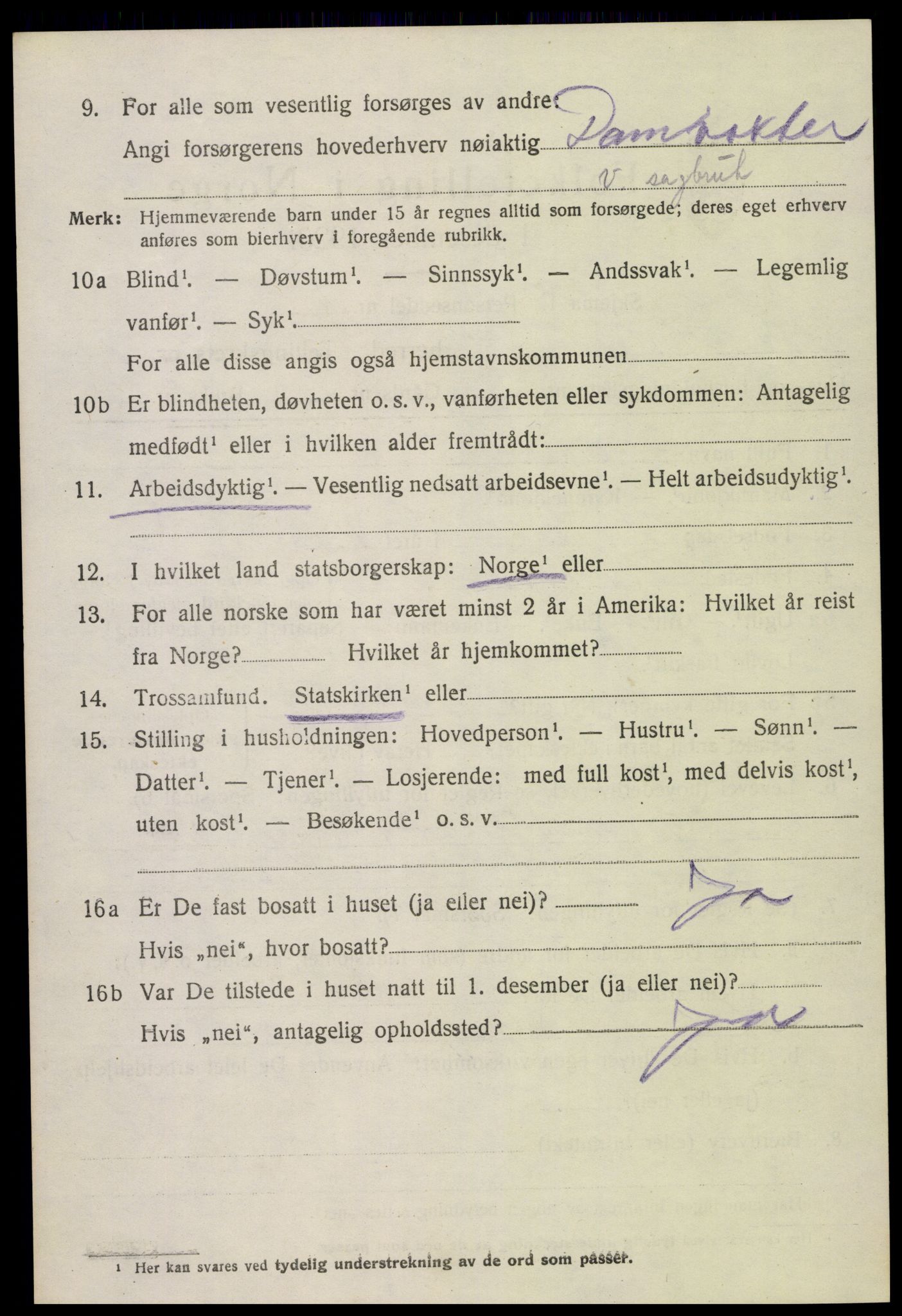 SAK, Folketelling 1920 for 0936 Hornnes herred, 1920, s. 588