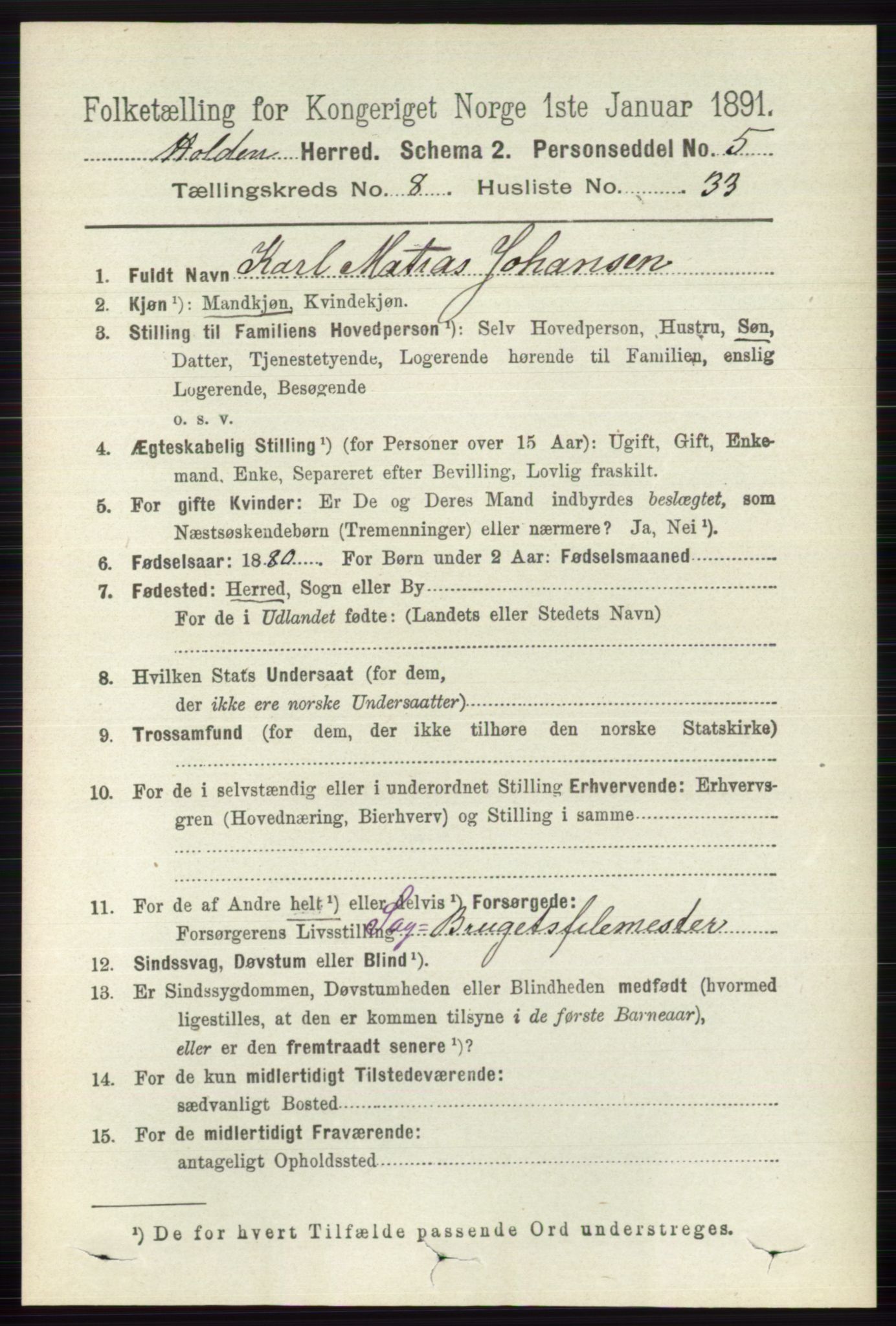 RA, Folketelling 1891 for 0819 Holla herred, 1891, s. 3893