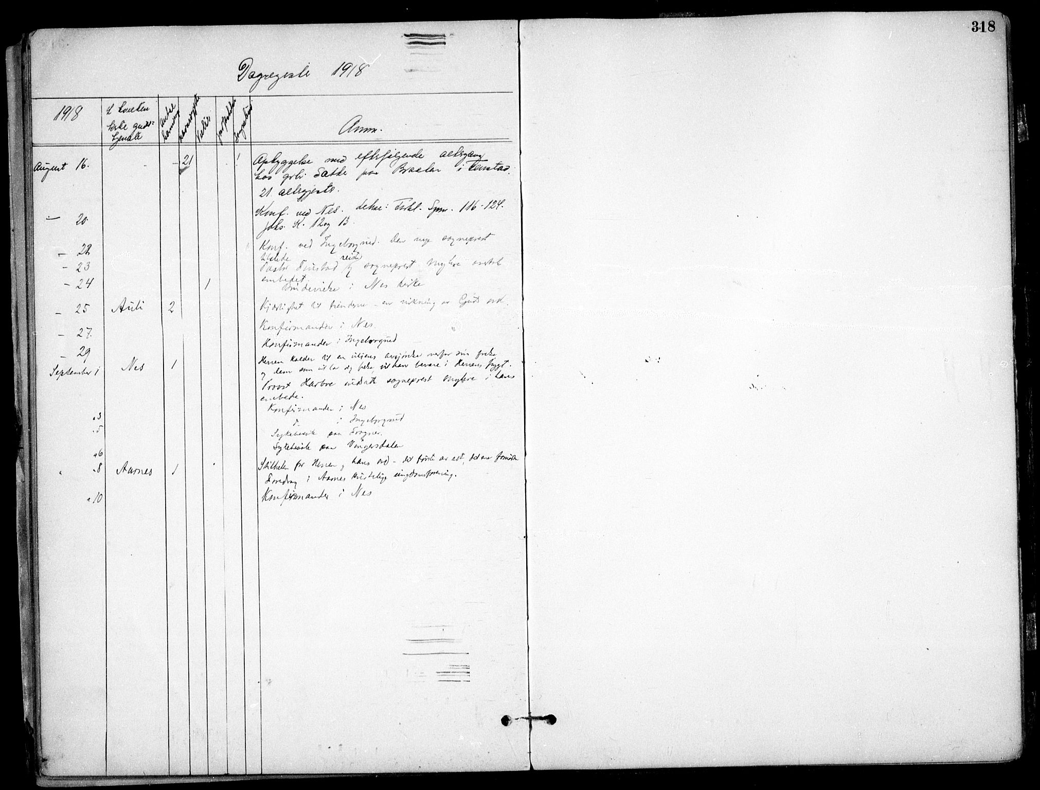 Nes prestekontor Kirkebøker, SAO/A-10410/F/Fb/L0002: Ministerialbok nr. II 2, 1883-1918, s. 318