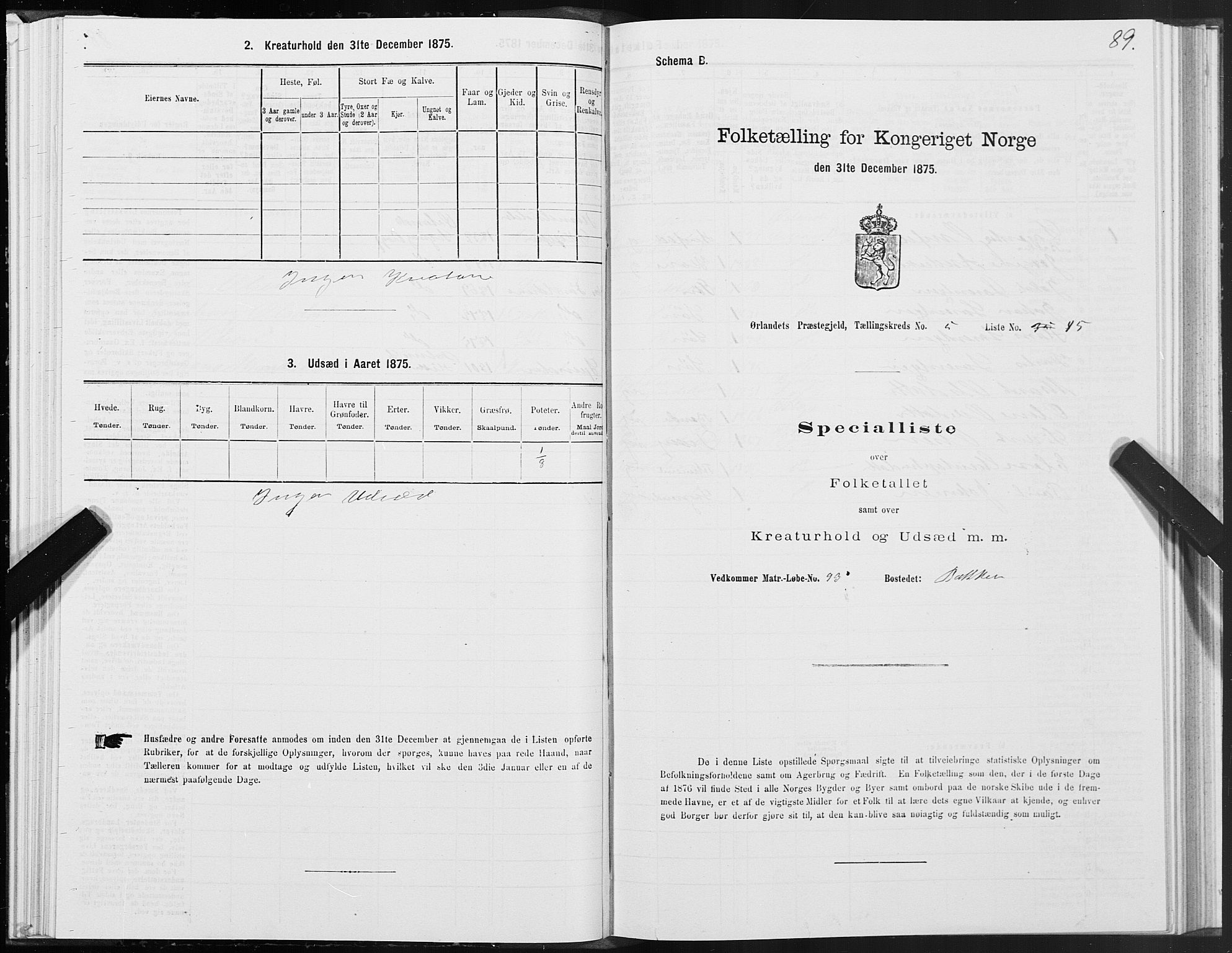 SAT, Folketelling 1875 for 1621P Ørland prestegjeld, 1875, s. 3089