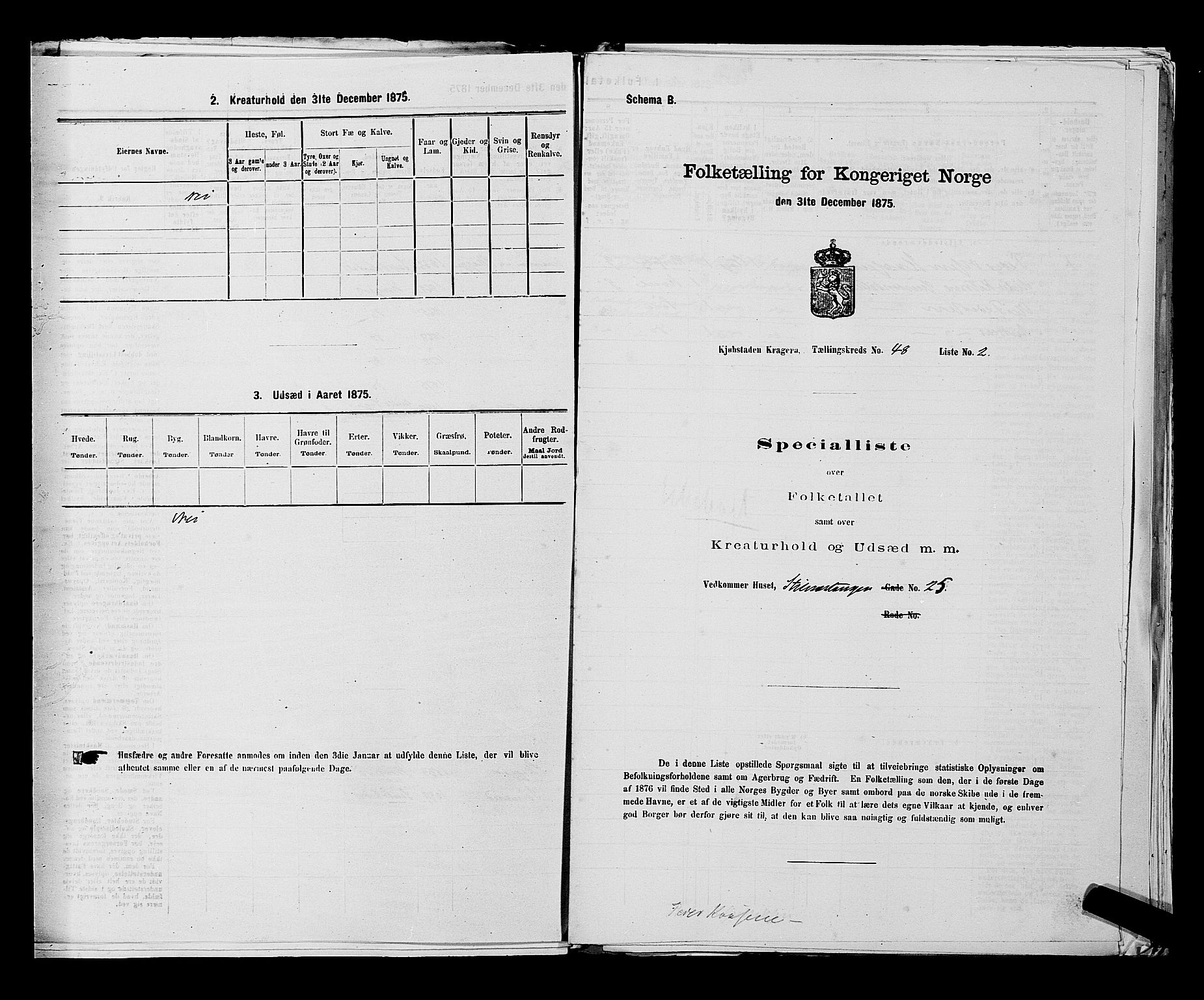 SAKO, Folketelling 1875 for 0801P Kragerø prestegjeld, 1875, s. 1061