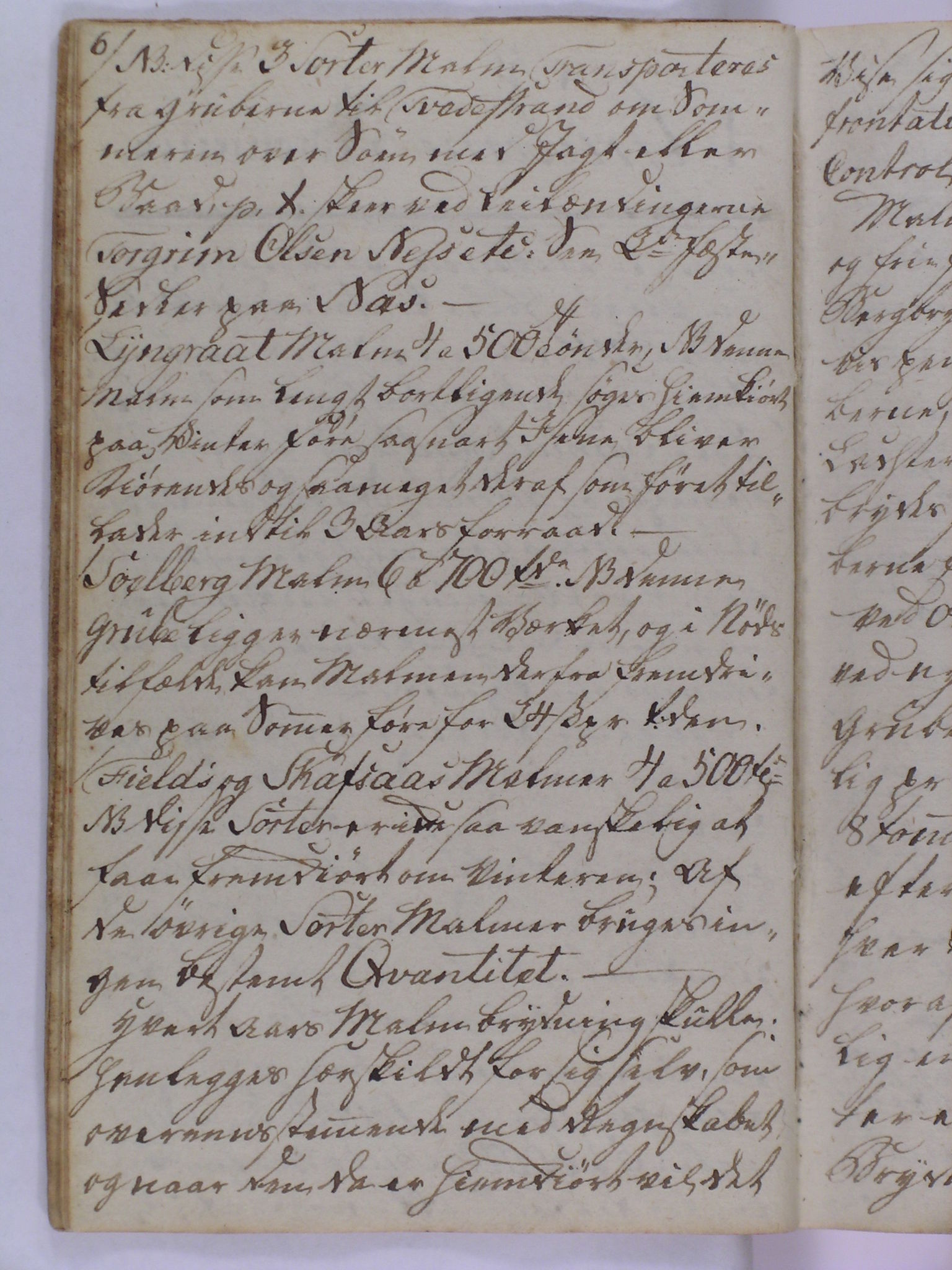Baaseland Jernverk og Næs Jernverk, NESJ/NJM-001/02/01/L0001: Næs Jærnværk betræffende, 1799