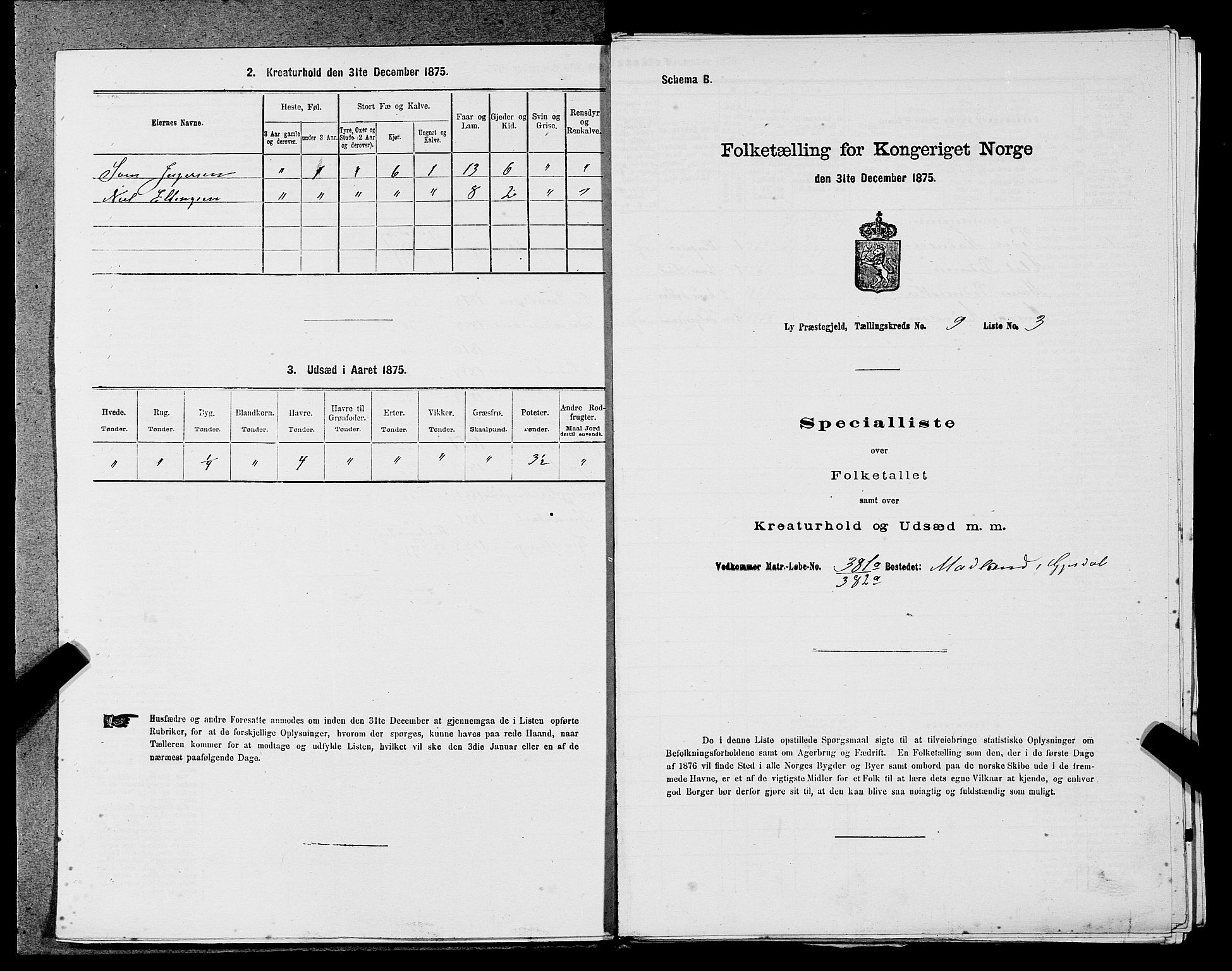 SAST, Folketelling 1875 for 1121P Lye prestegjeld, 1875, s. 1029