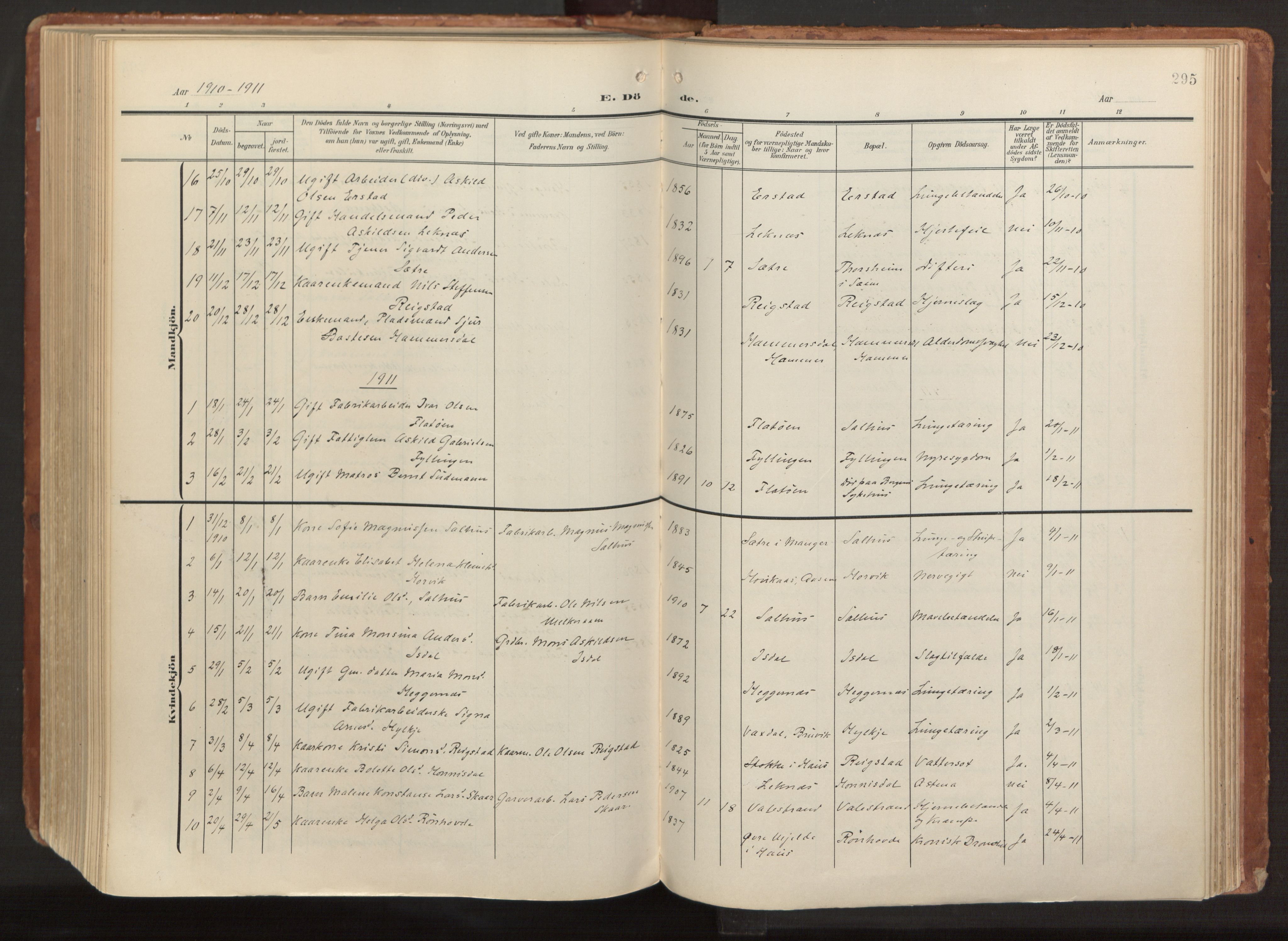 Hamre sokneprestembete, AV/SAB-A-75501/H/Ha/Haa/Haab/L0002: Ministerialbok nr. B 2, 1905-1924, s. 295