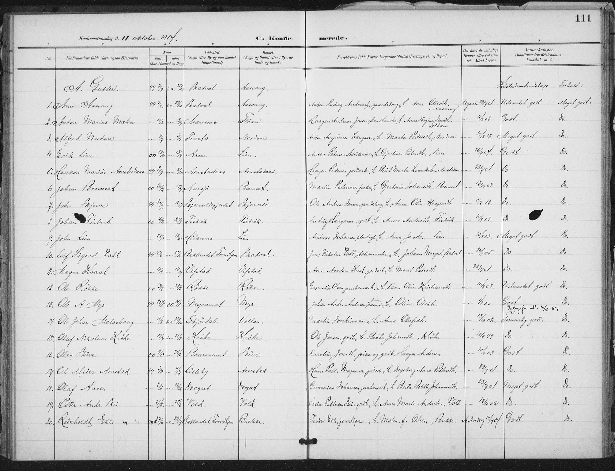 Ministerialprotokoller, klokkerbøker og fødselsregistre - Nord-Trøndelag, AV/SAT-A-1458/712/L0101: Ministerialbok nr. 712A02, 1901-1916, s. 111