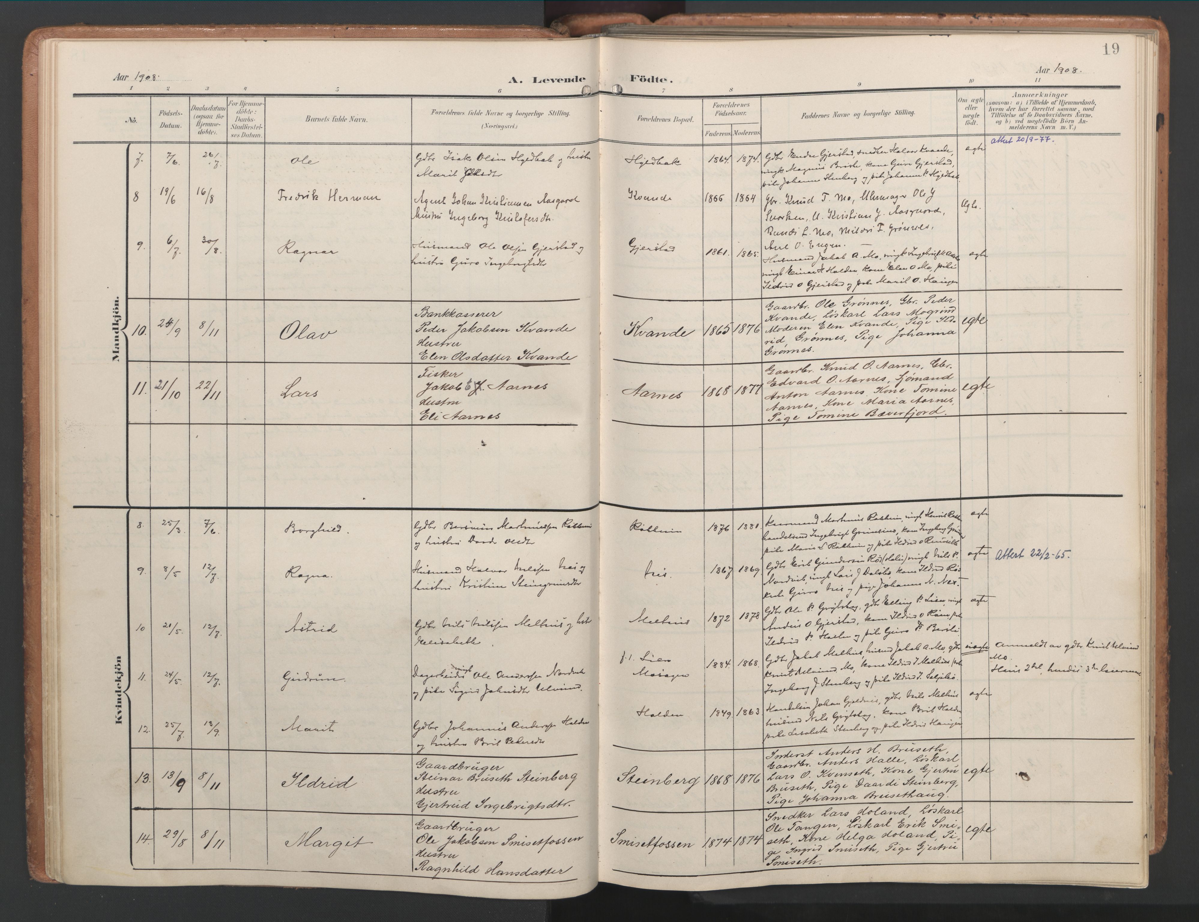 Ministerialprotokoller, klokkerbøker og fødselsregistre - Møre og Romsdal, AV/SAT-A-1454/592/L1030: Ministerialbok nr. 592A08, 1901-1925, s. 19