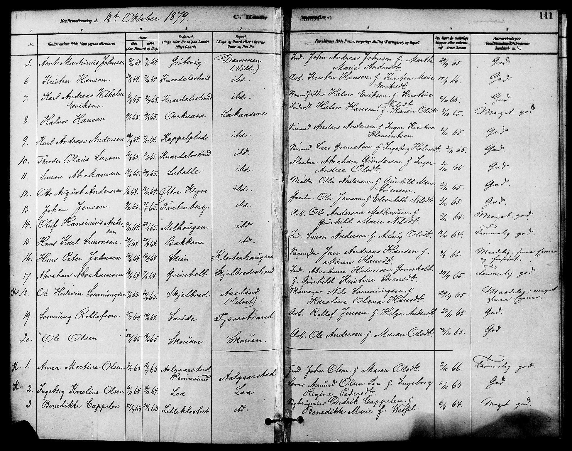 Solum kirkebøker, AV/SAKO-A-306/F/Fa/L0009: Ministerialbok nr. I 9, 1877-1887, s. 141