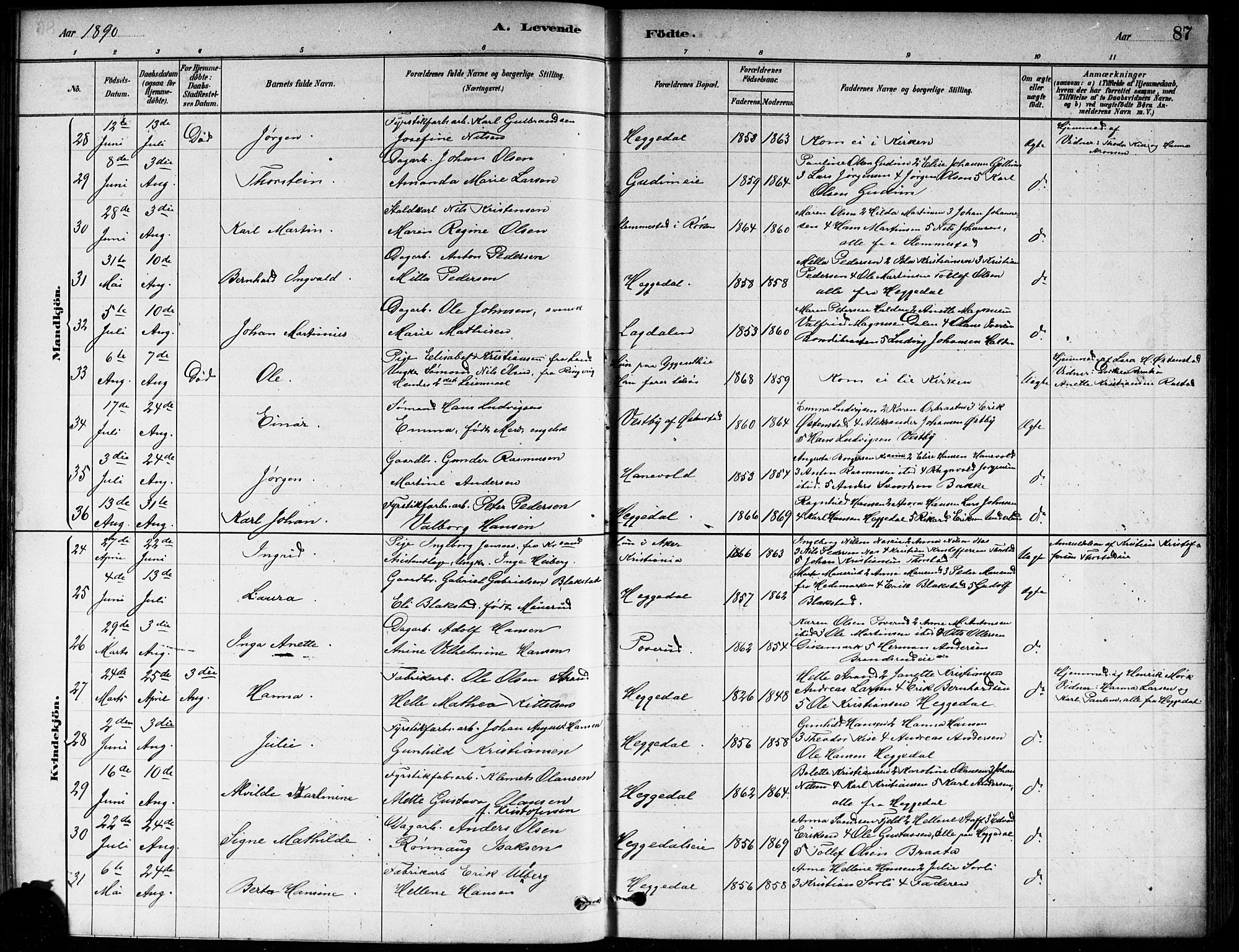 Asker prestekontor Kirkebøker, AV/SAO-A-10256a/F/Fa/L0013: Ministerialbok nr. I 13, 1879-1896, s. 87