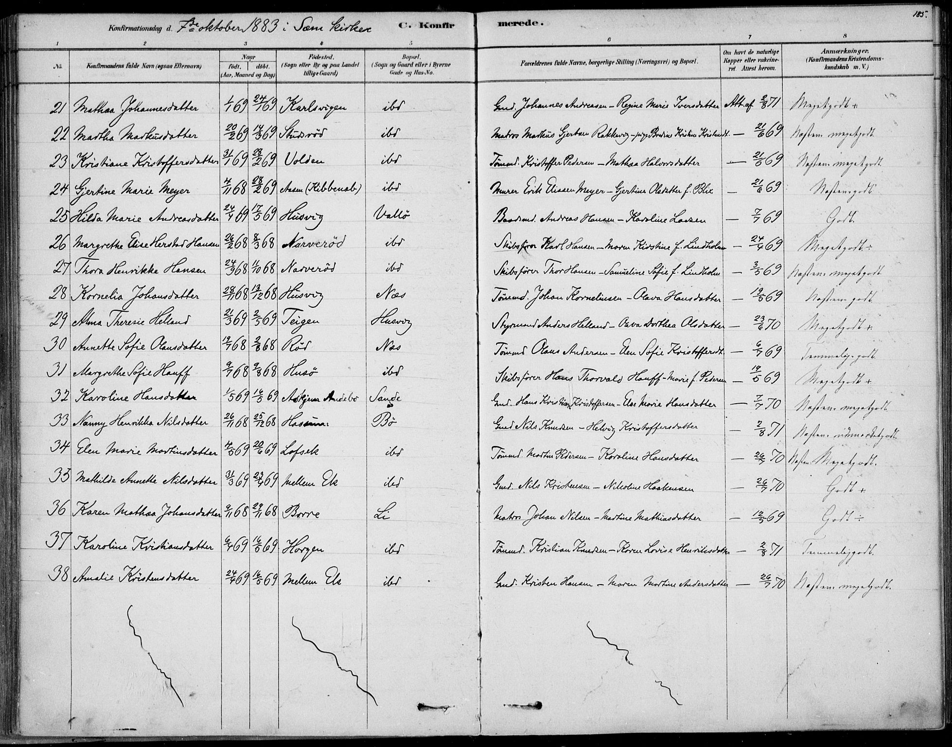 Sem kirkebøker, AV/SAKO-A-5/F/Fb/L0004: Ministerialbok nr. II 4, 1878-1891, s. 185