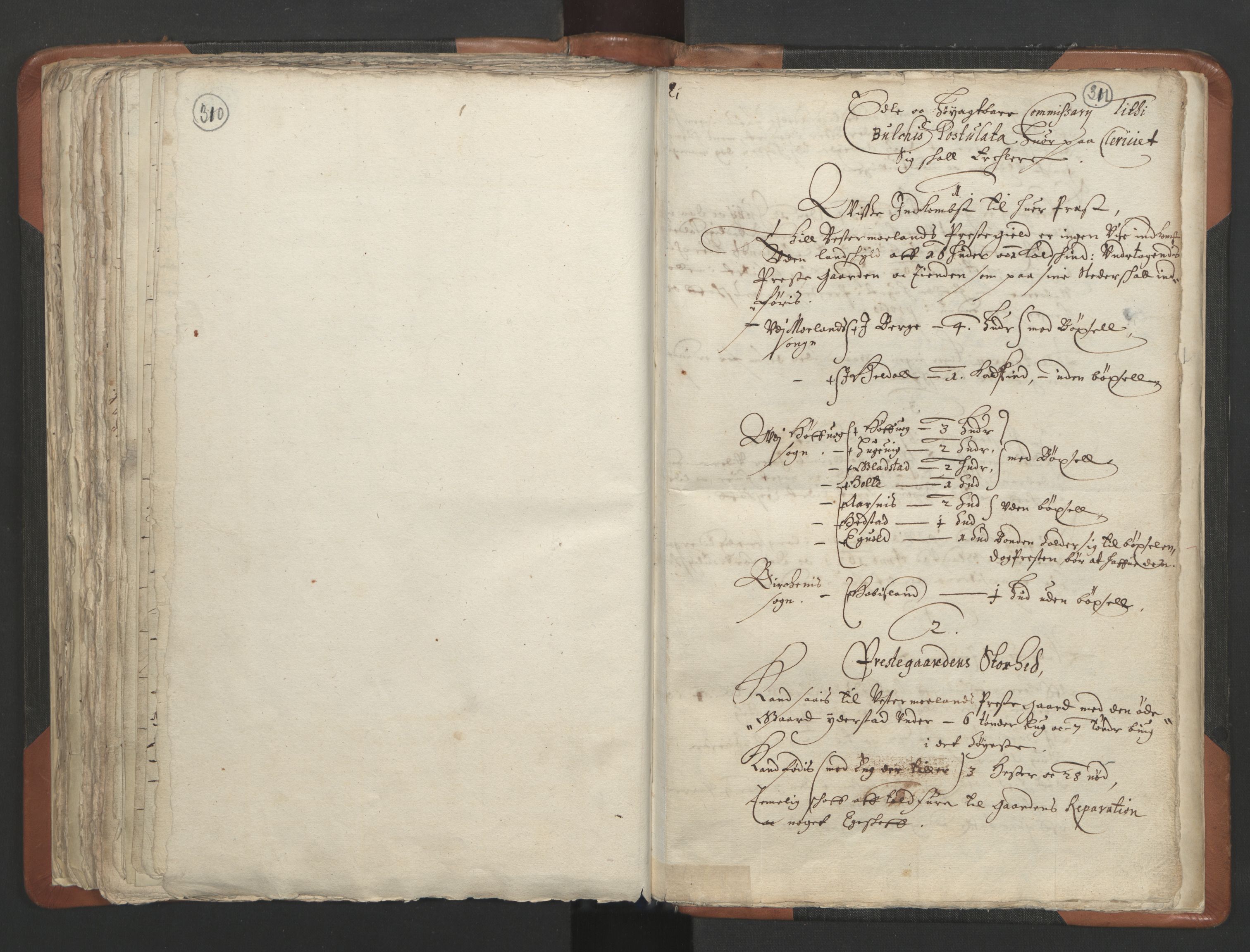 RA, Sogneprestenes manntall 1664-1666, nr. 13: Nedenes prosti, 1664-1666, s. 310-311