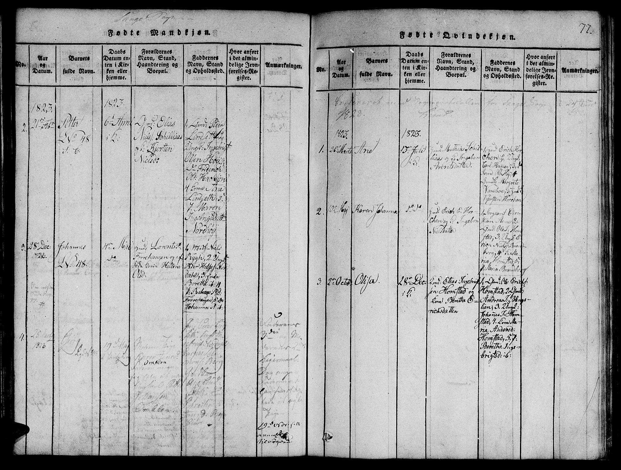 Ministerialprotokoller, klokkerbøker og fødselsregistre - Nord-Trøndelag, AV/SAT-A-1458/764/L0546: Ministerialbok nr. 764A06 /4, 1817-1823, s. 77