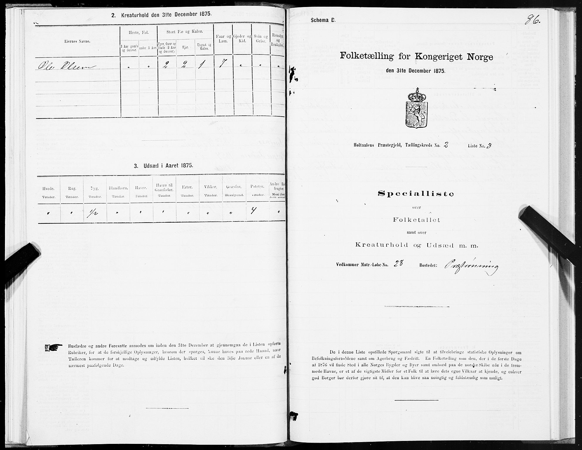 SAT, Folketelling 1875 for 1645P Haltdalen prestegjeld, 1875, s. 1086