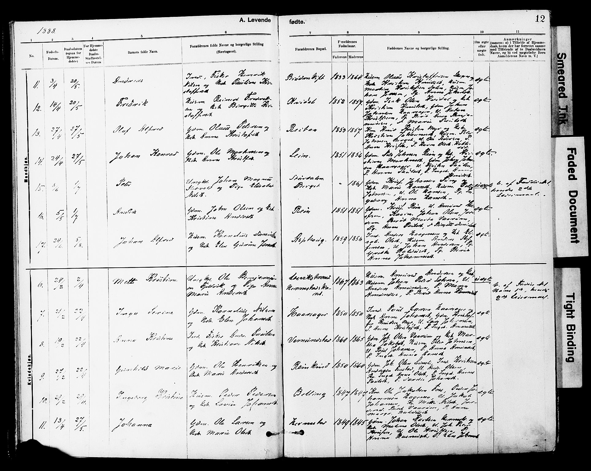 Ministerialprotokoller, klokkerbøker og fødselsregistre - Sør-Trøndelag, AV/SAT-A-1456/646/L0615: Ministerialbok nr. 646A13, 1885-1900, s. 12