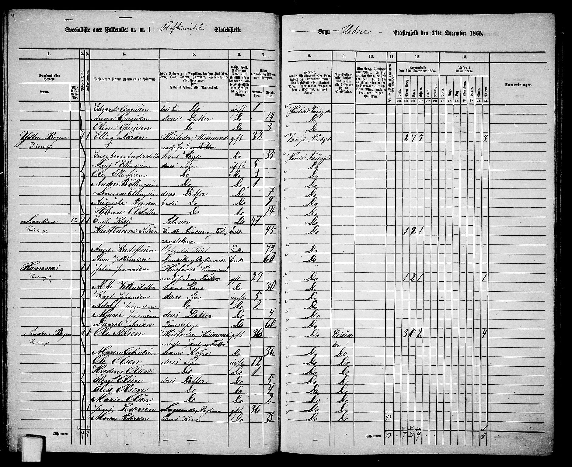 RA, Folketelling 1865 for 1866P Hadsel prestegjeld, 1865, s. 41