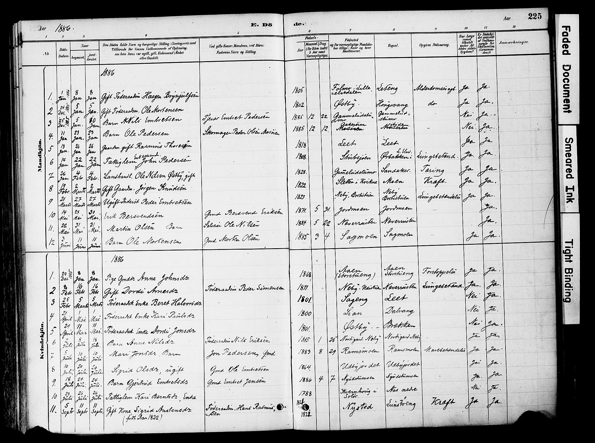 Tynset prestekontor, AV/SAH-PREST-058/H/Ha/Haa/L0022: Ministerialbok nr. 22, 1880-1899, s. 225