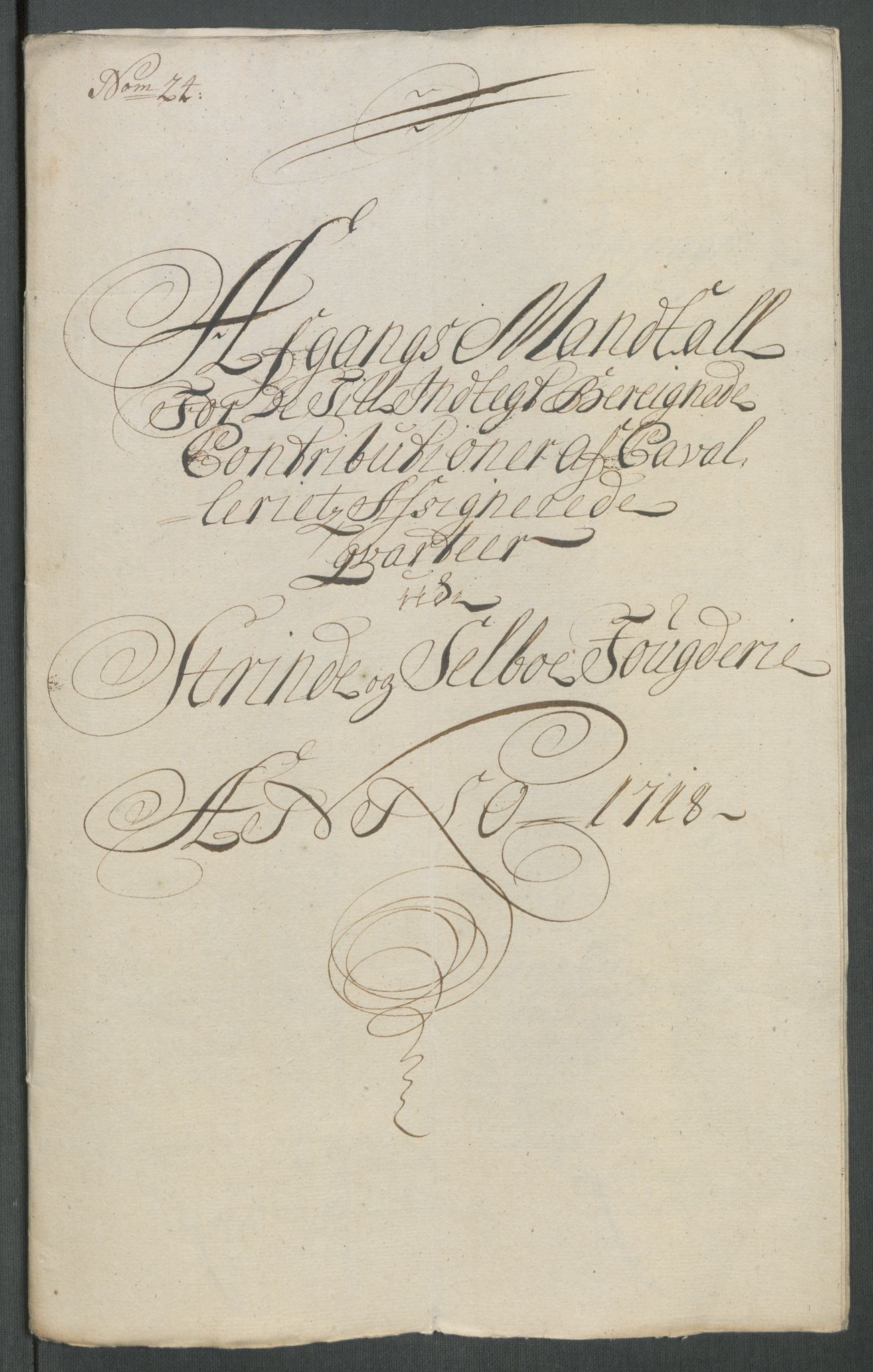 Rentekammeret inntil 1814, Reviderte regnskaper, Fogderegnskap, RA/EA-4092/R61/L4116: Fogderegnskap Strinda og Selbu, 1717-1718, s. 461