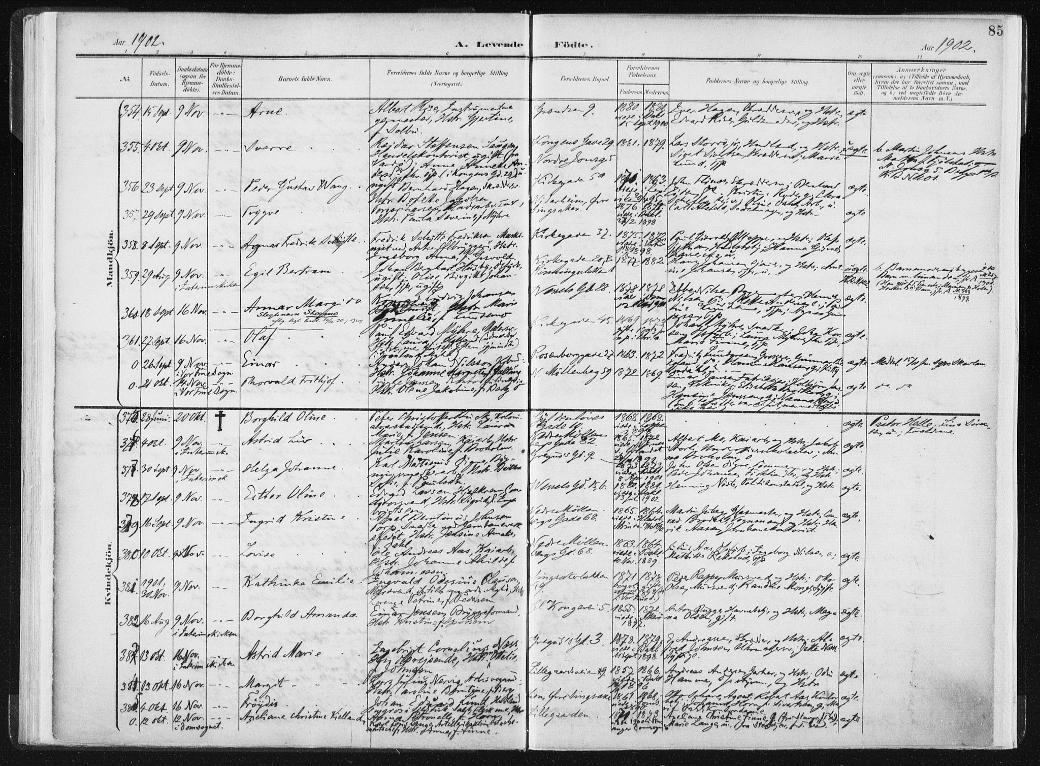 Ministerialprotokoller, klokkerbøker og fødselsregistre - Sør-Trøndelag, SAT/A-1456/604/L0199: Ministerialbok nr. 604A20I, 1901-1906, s. 85