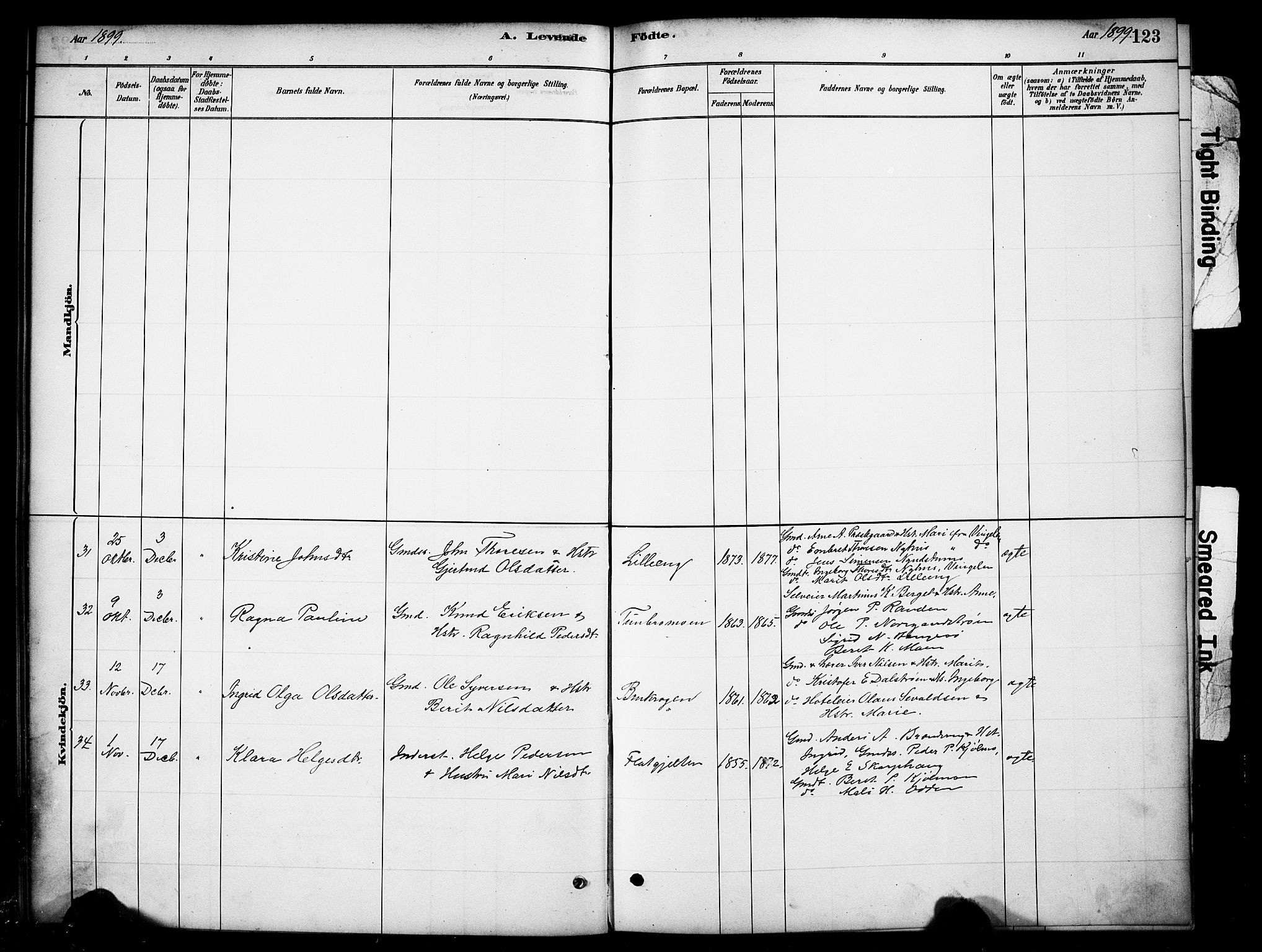 Tynset prestekontor, AV/SAH-PREST-058/H/Ha/Hab/L0006: Klokkerbok nr. 6, 1880-1899, s. 123