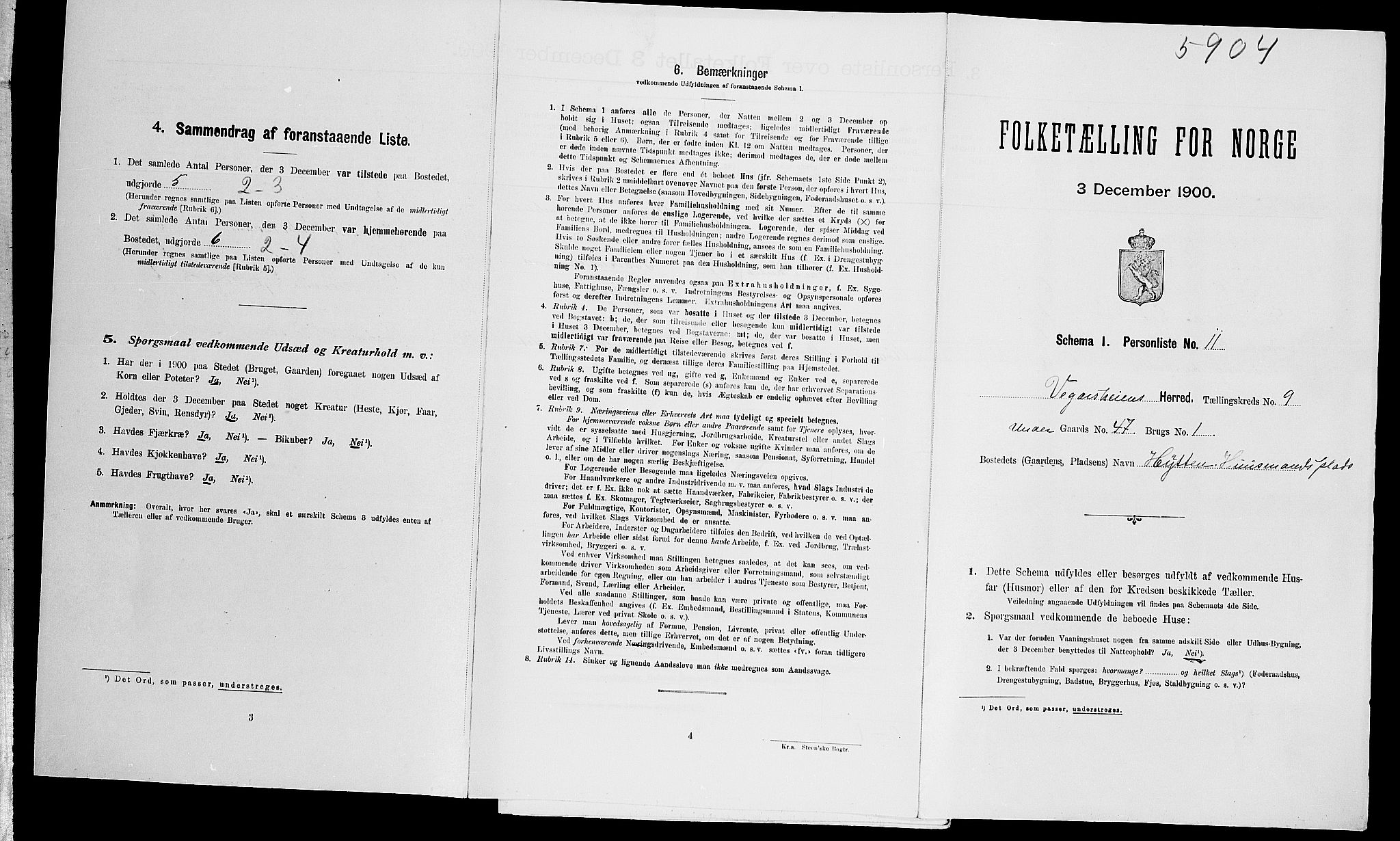 SAK, Folketelling 1900 for 0912 Vegårshei herred, 1900, s. 494