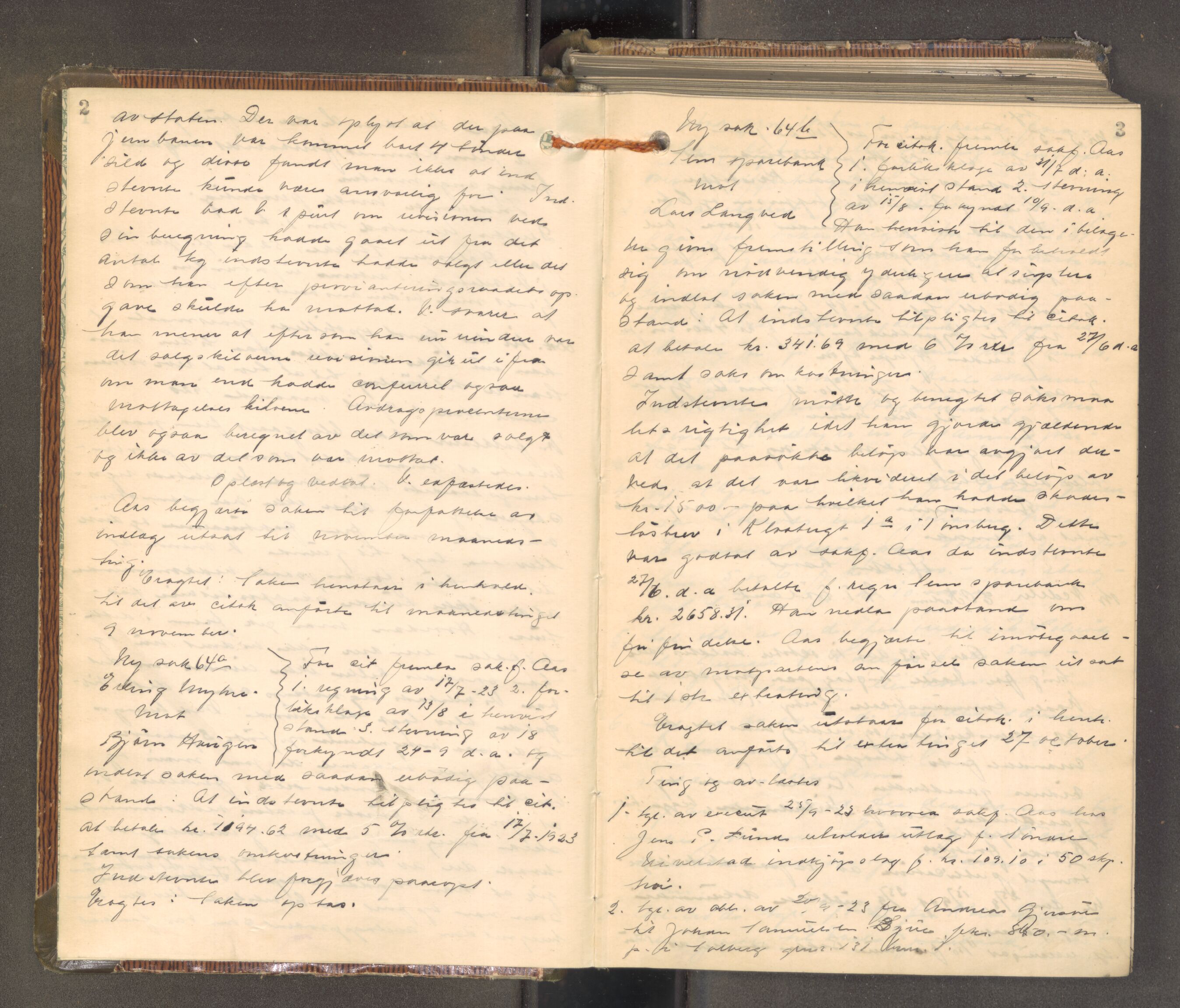 Mellom Jarlsberg sorenskriveri, AV/SAKO-A-132/F/Fa/Faa/L0018: Tingbok, 1923-1926, s. 2-3