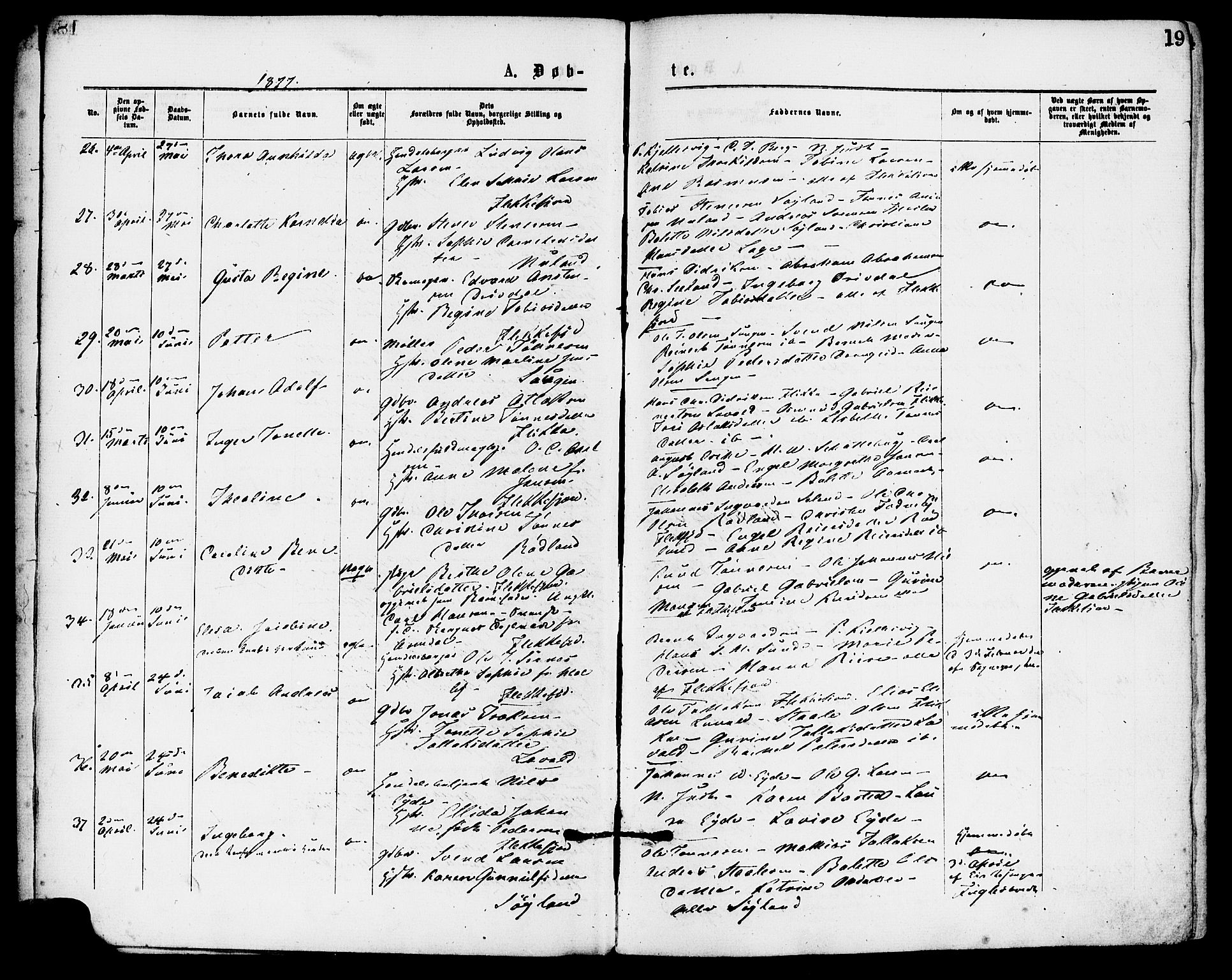 Flekkefjord sokneprestkontor, AV/SAK-1111-0012/F/Fa/Fac/L0007: Ministerialbok nr. A 7, 1875-1885, s. 19
