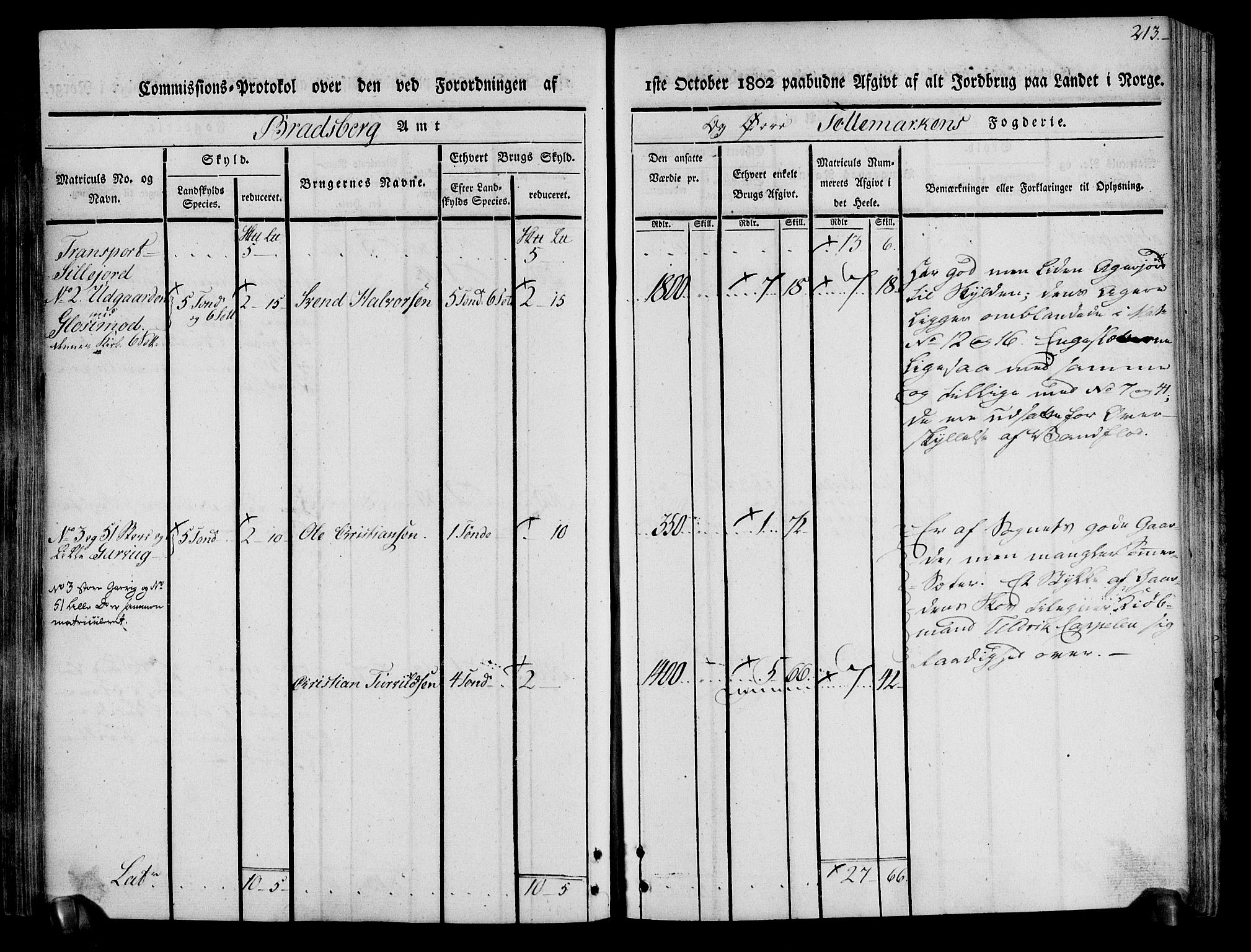 Rentekammeret inntil 1814, Realistisk ordnet avdeling, AV/RA-EA-4070/N/Ne/Nea/L0074: Øvre Telemarken fogderi. Kommisjonsprotokoll for fogderiets østre del - Tinn, Hjartdal og Seljord prestegjeld., 1803, s. 213