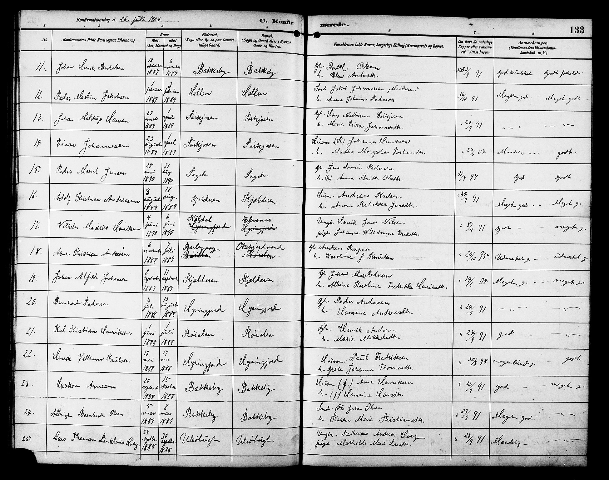 Skjervøy sokneprestkontor, AV/SATØ-S-1300/H/Ha/Hab/L0021klokker: Klokkerbok nr. 21, 1893-1910, s. 133