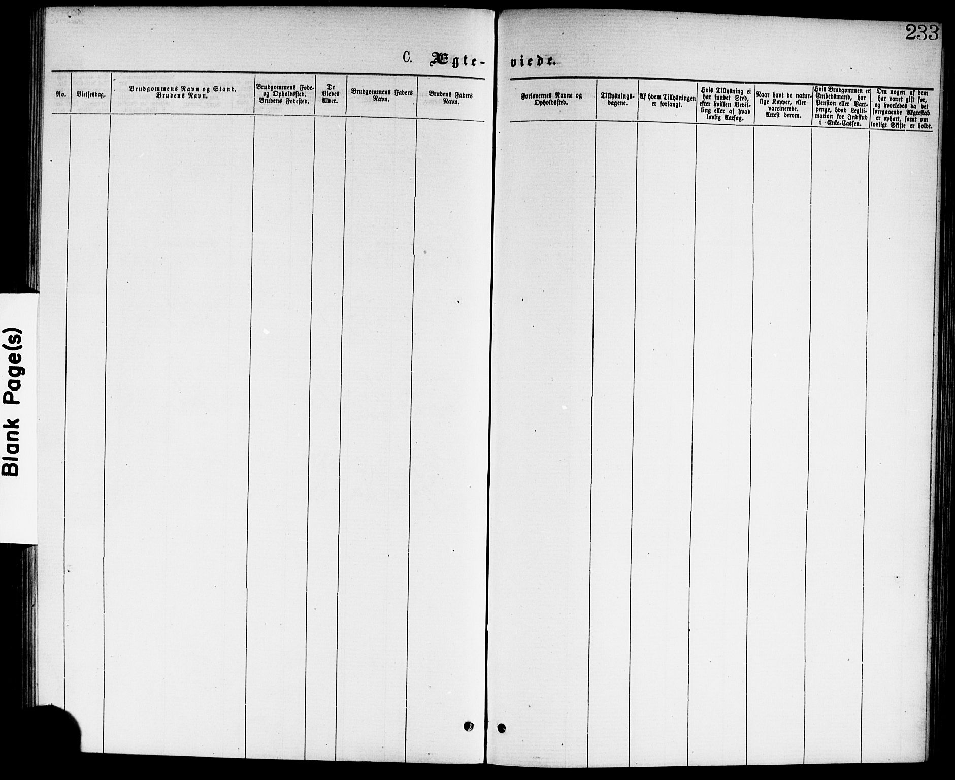 Skedsmo prestekontor Kirkebøker, AV/SAO-A-10033a/G/Ga/L0003: Klokkerbok nr. I 3, 1873-1882, s. 233