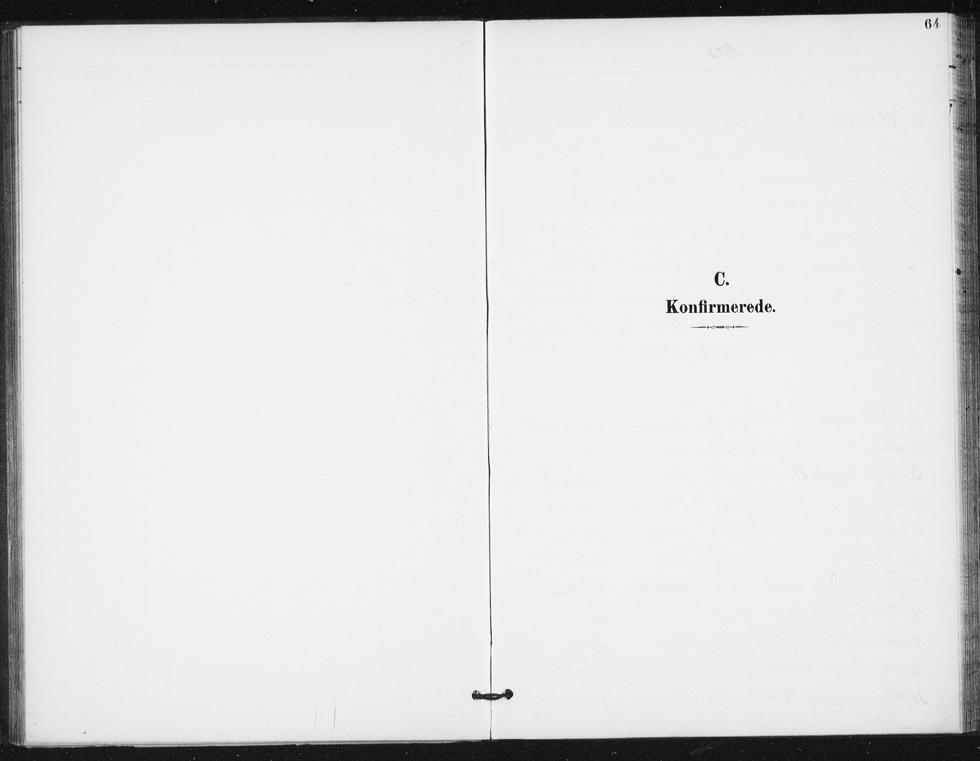 Ministerialprotokoller, klokkerbøker og fødselsregistre - Sør-Trøndelag, AV/SAT-A-1456/654/L0664: Ministerialbok nr. 654A02, 1895-1907, s. 64