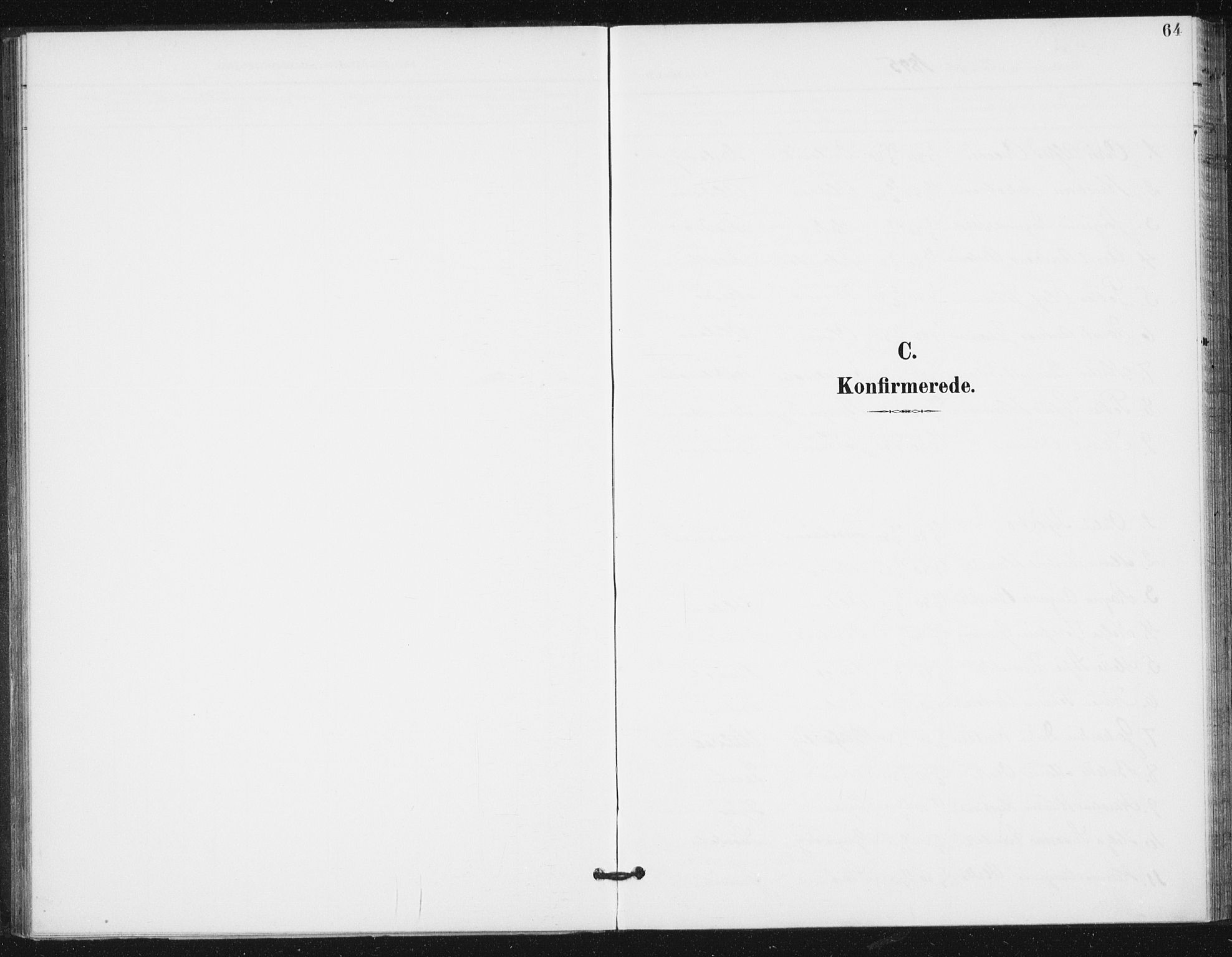 Ministerialprotokoller, klokkerbøker og fødselsregistre - Sør-Trøndelag, SAT/A-1456/654/L0664: Ministerialbok nr. 654A02, 1895-1907, s. 64