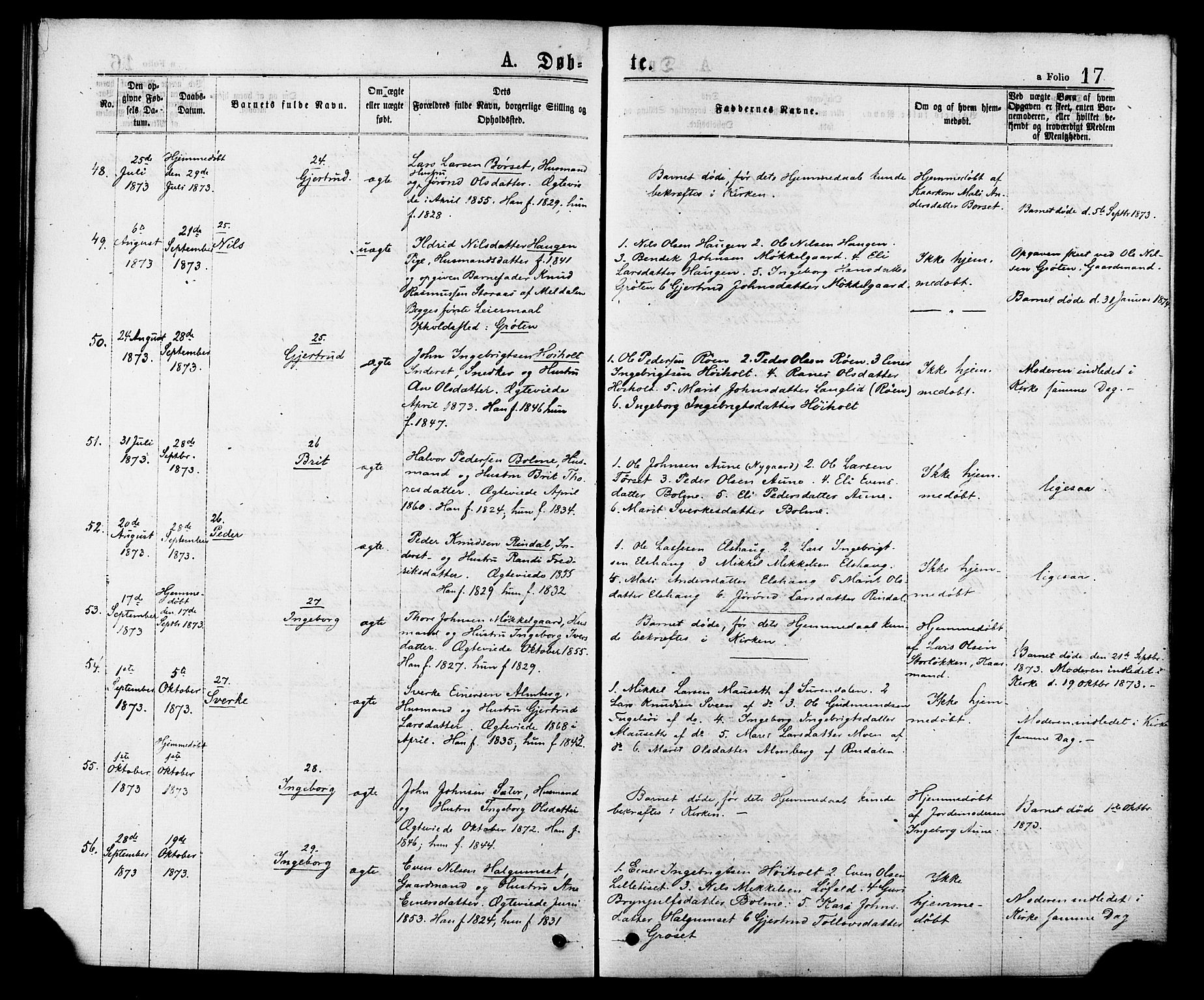 Ministerialprotokoller, klokkerbøker og fødselsregistre - Møre og Romsdal, AV/SAT-A-1454/598/L1068: Ministerialbok nr. 598A02, 1872-1881, s. 17