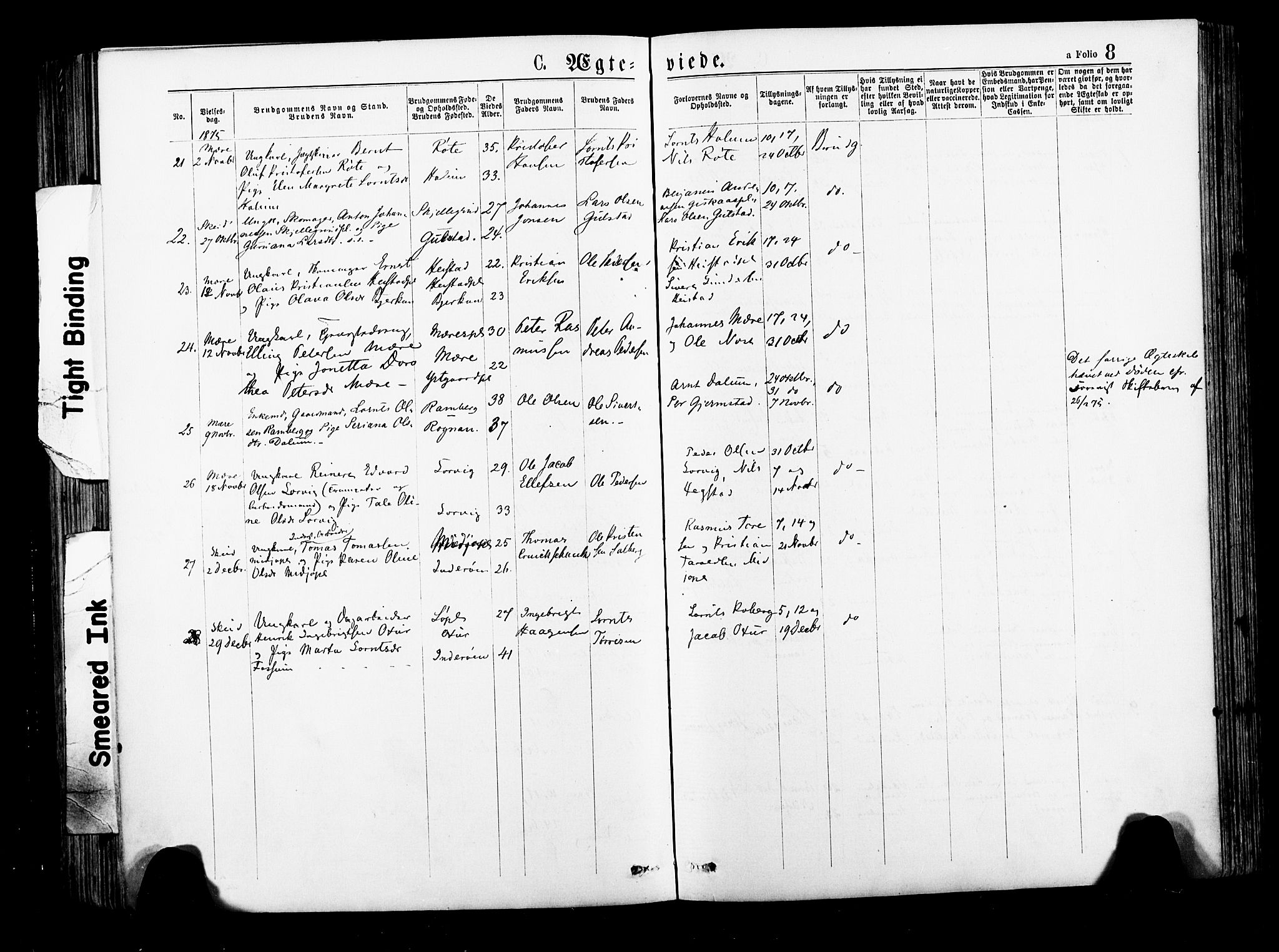Ministerialprotokoller, klokkerbøker og fødselsregistre - Nord-Trøndelag, SAT/A-1458/735/L0348: Ministerialbok nr. 735A09 /1, 1873-1883, s. 8