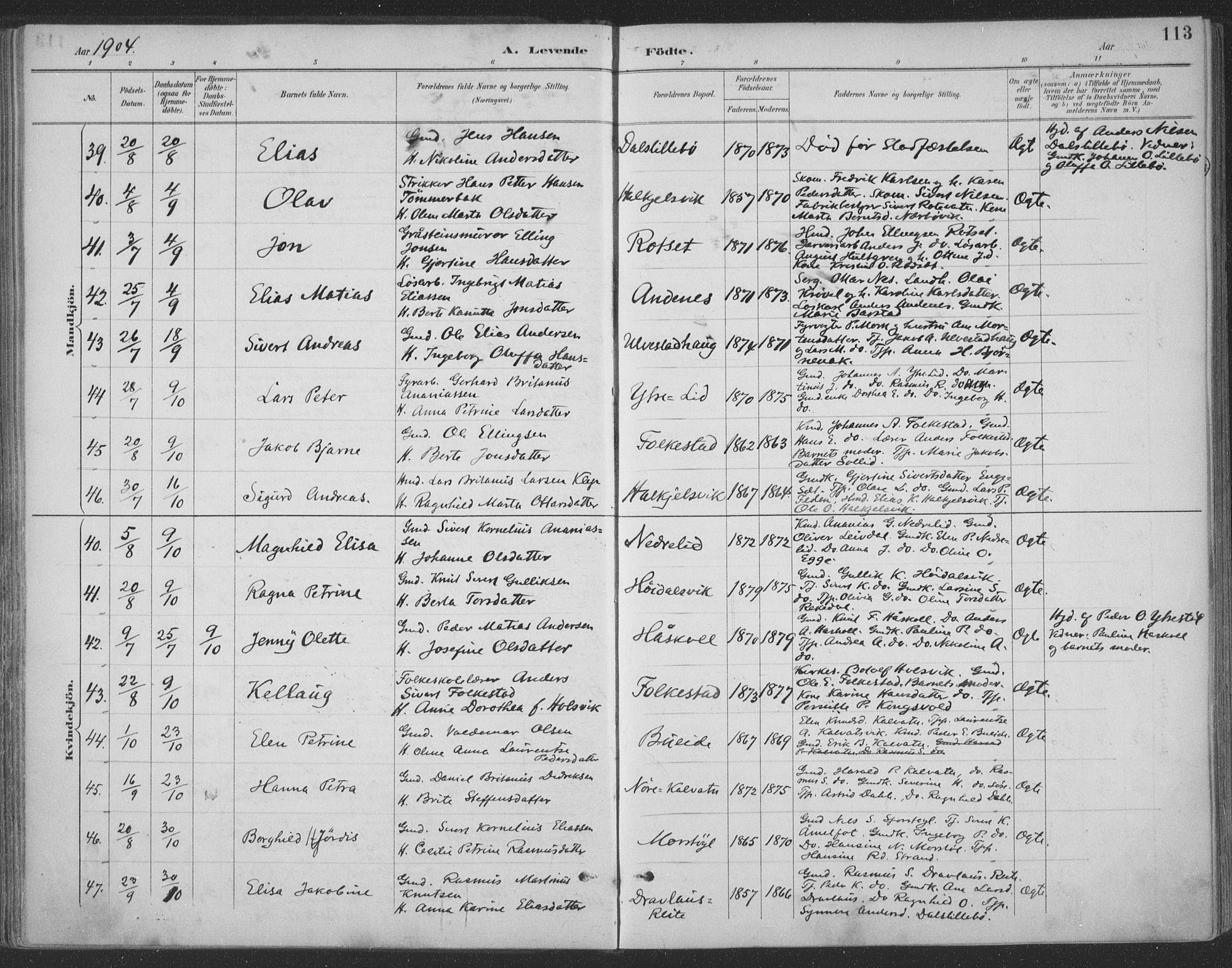 Ministerialprotokoller, klokkerbøker og fødselsregistre - Møre og Romsdal, AV/SAT-A-1454/511/L0142: Ministerialbok nr. 511A09, 1891-1905, s. 113