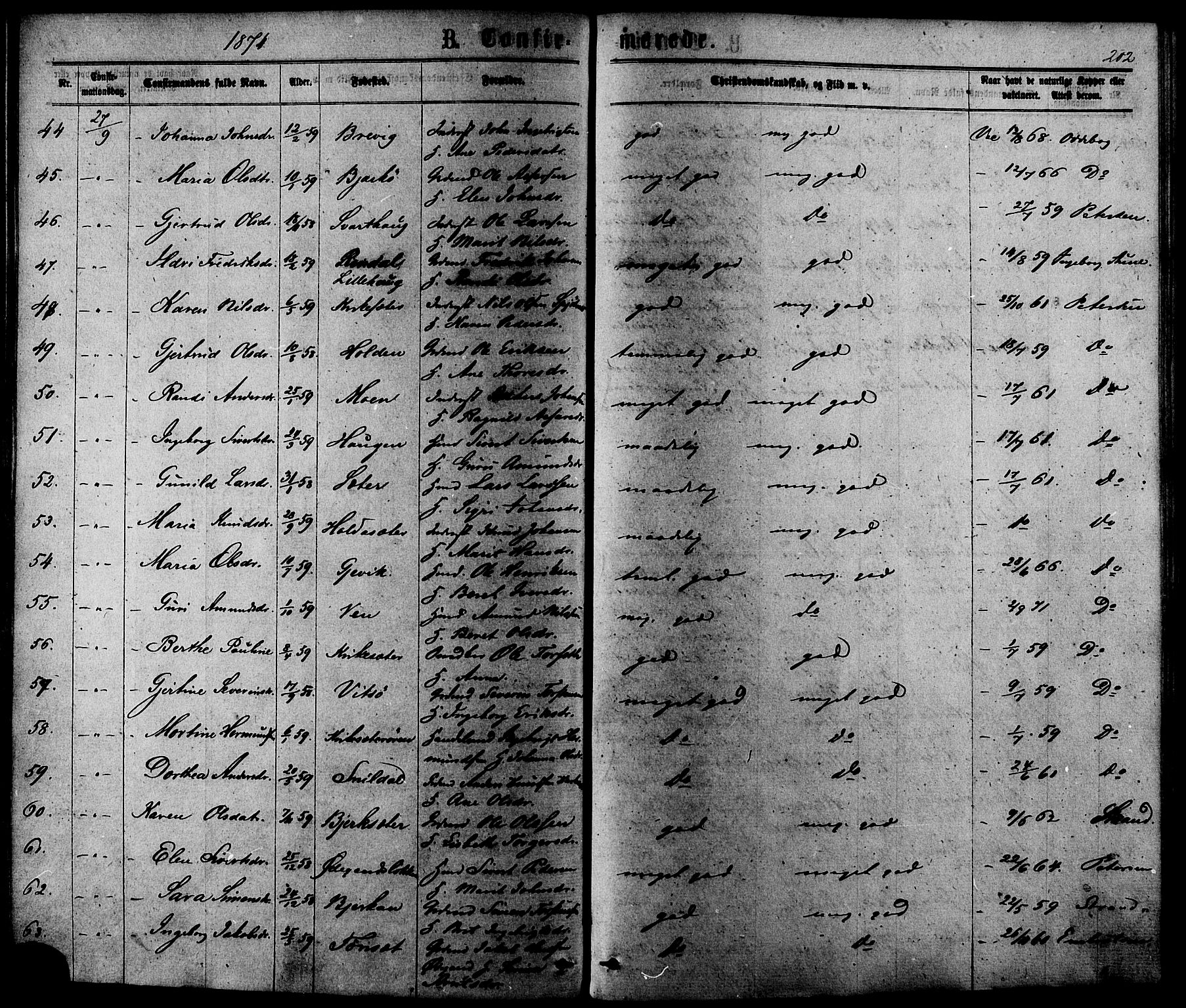 Ministerialprotokoller, klokkerbøker og fødselsregistre - Sør-Trøndelag, SAT/A-1456/630/L0495: Ministerialbok nr. 630A08, 1868-1878, s. 202