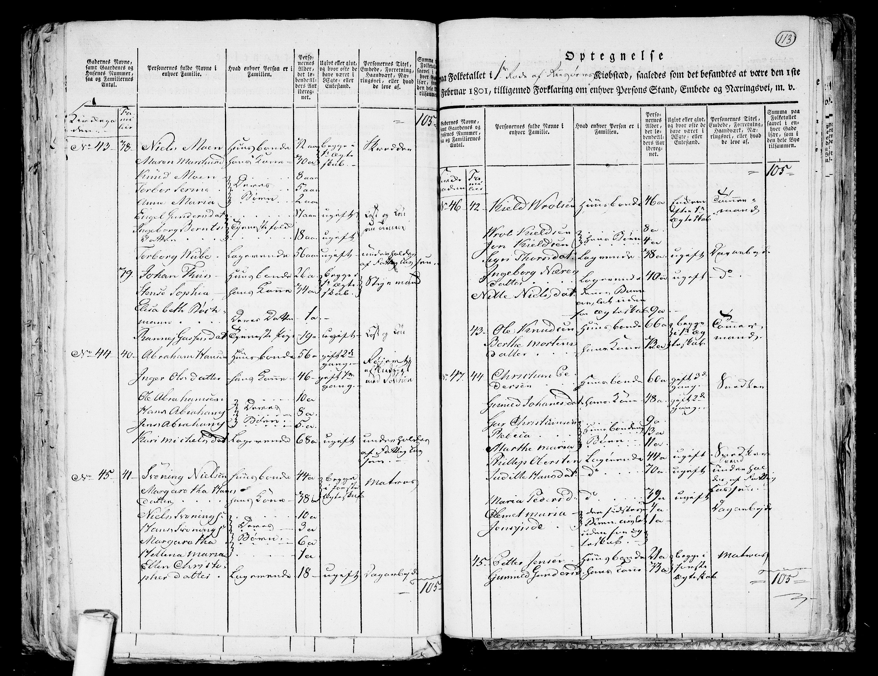 RA, Folketelling 1801 for 0901P Risør prestegjeld, 1801, s. 112b-113a