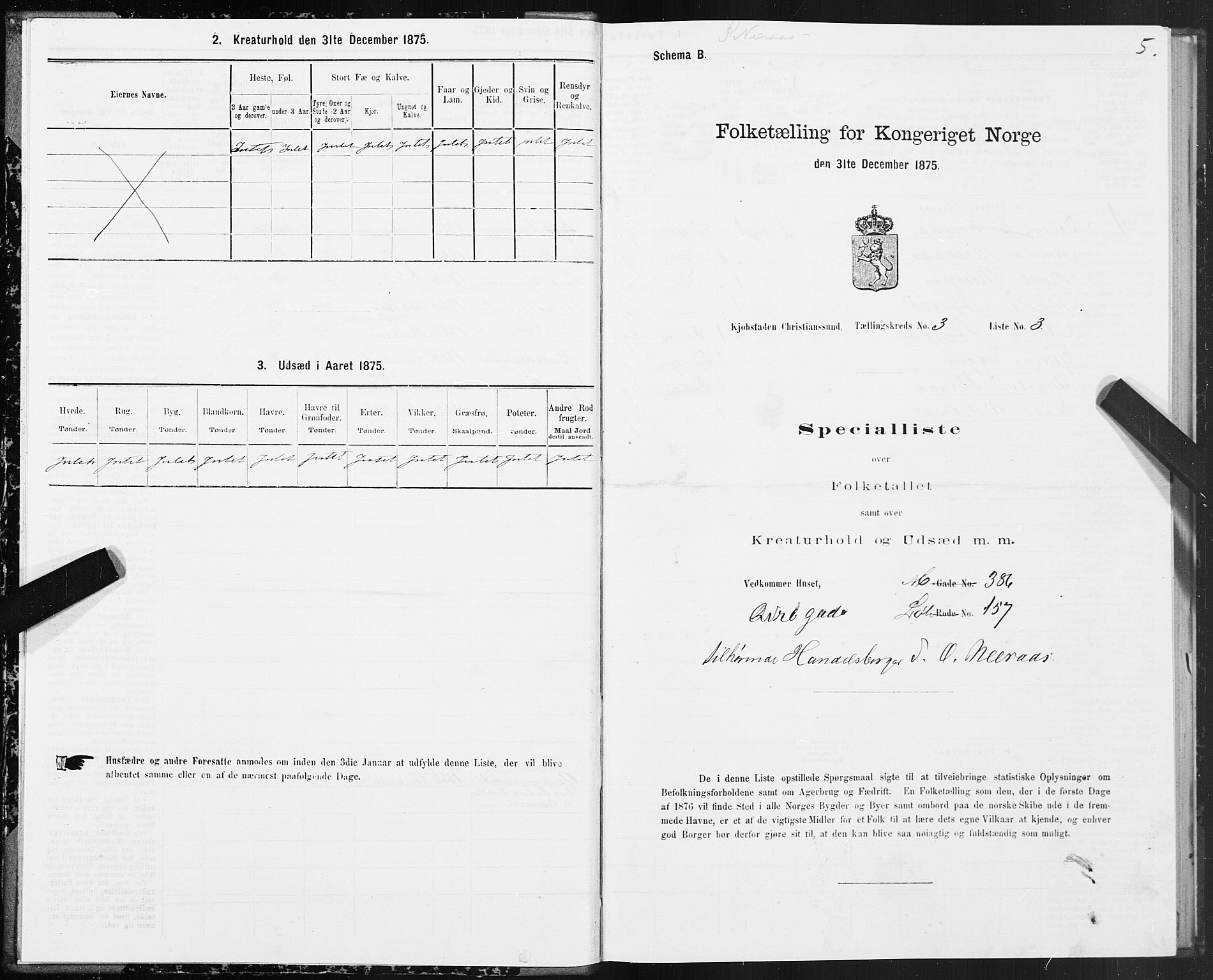 SAT, Folketelling 1875 for 1503B Kristiansund prestegjeld, Kristiansund kjøpstad, 1875, s. 3005