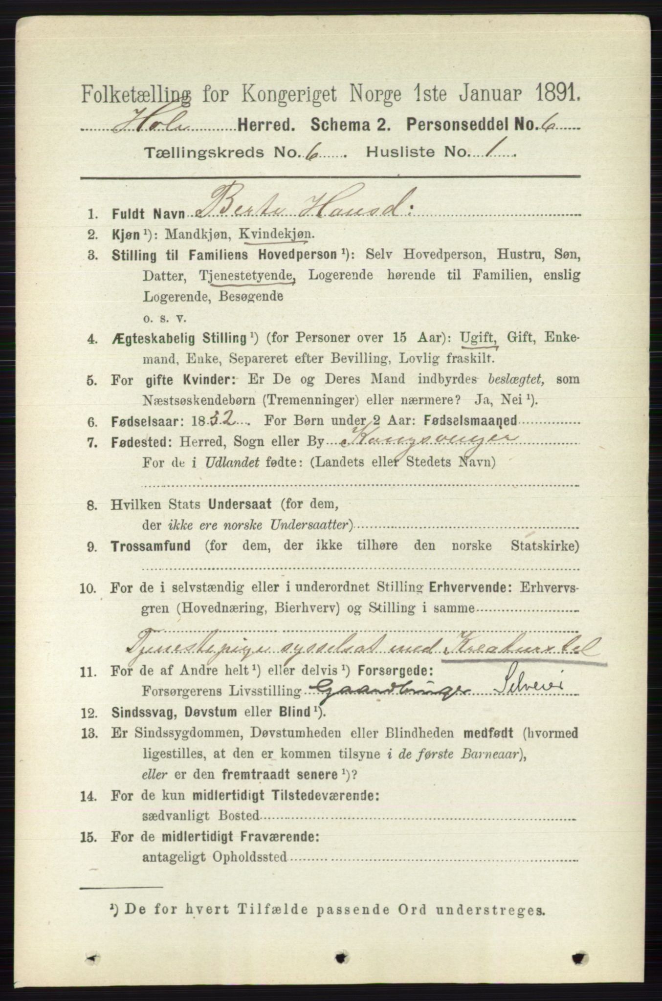 RA, Folketelling 1891 for 0612 Hole herred, 1891, s. 3109