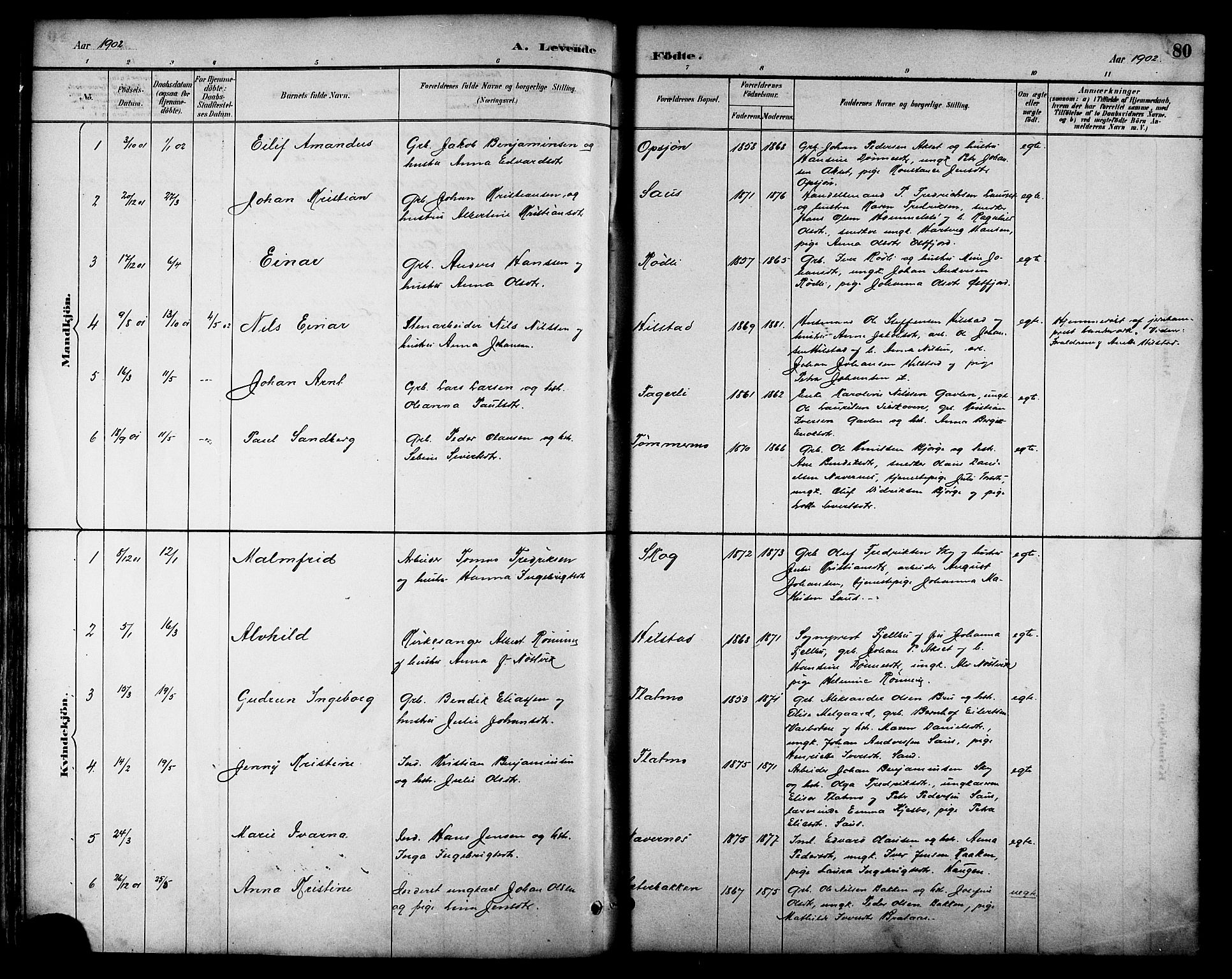 Ministerialprotokoller, klokkerbøker og fødselsregistre - Nordland, AV/SAT-A-1459/814/L0230: Klokkerbok nr. 814C03, 1884-1911, s. 80