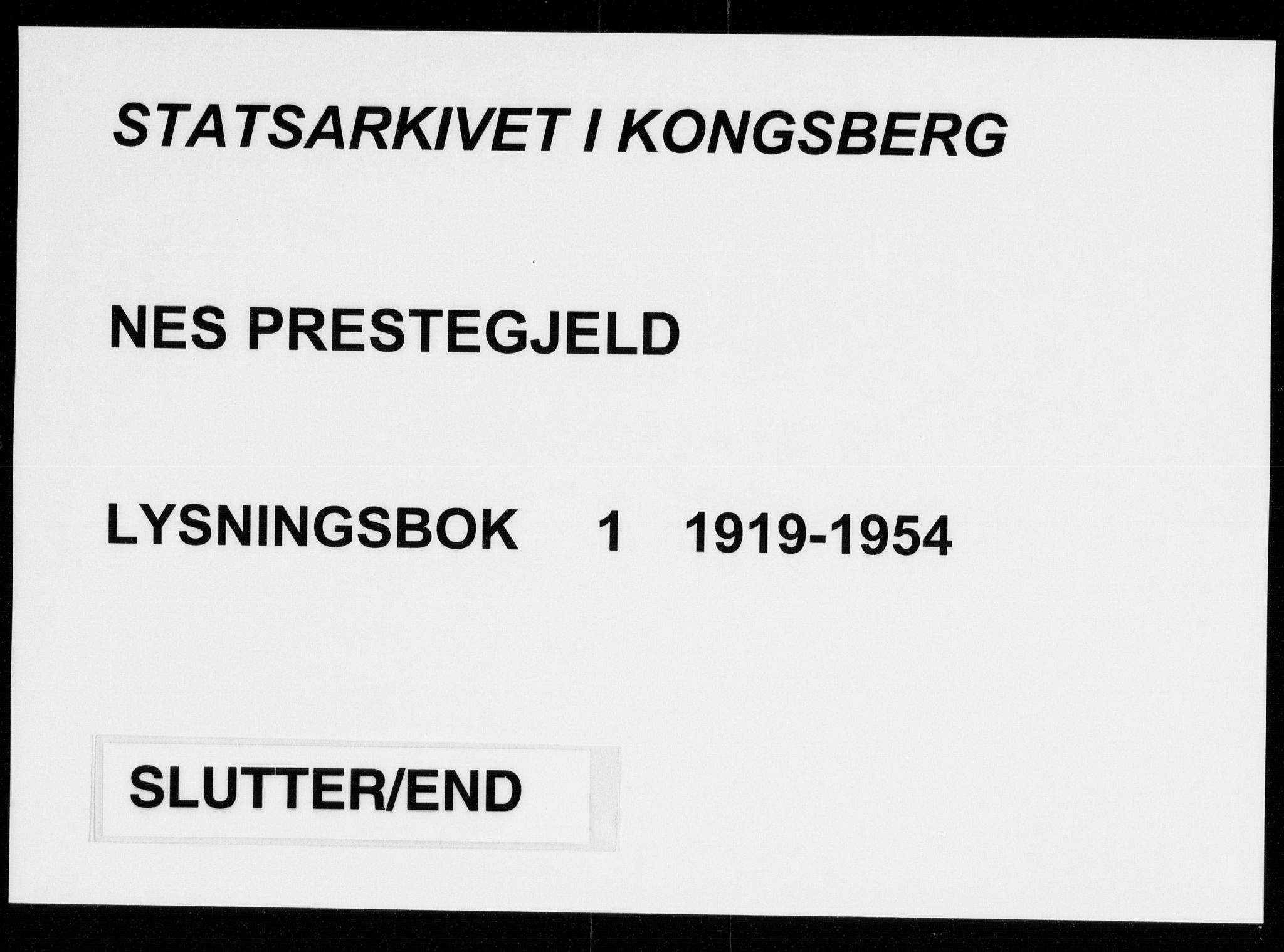 Nes kirkebøker, AV/SAKO-A-236/H/Ha/L0001: Lysningsprotokoll nr. 1, 1919-1954