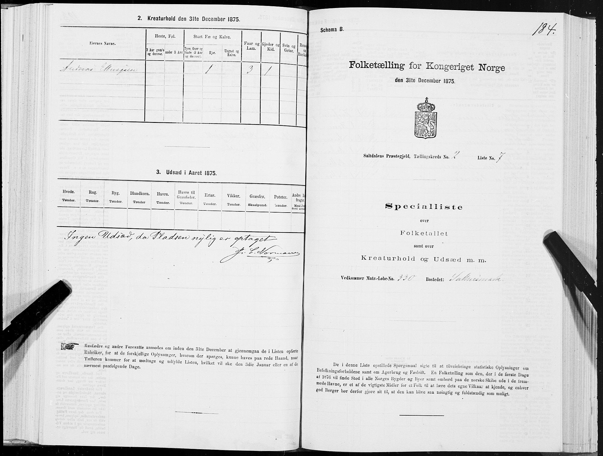 SAT, Folketelling 1875 for 1840P Saltdal prestegjeld, 1875, s. 1184