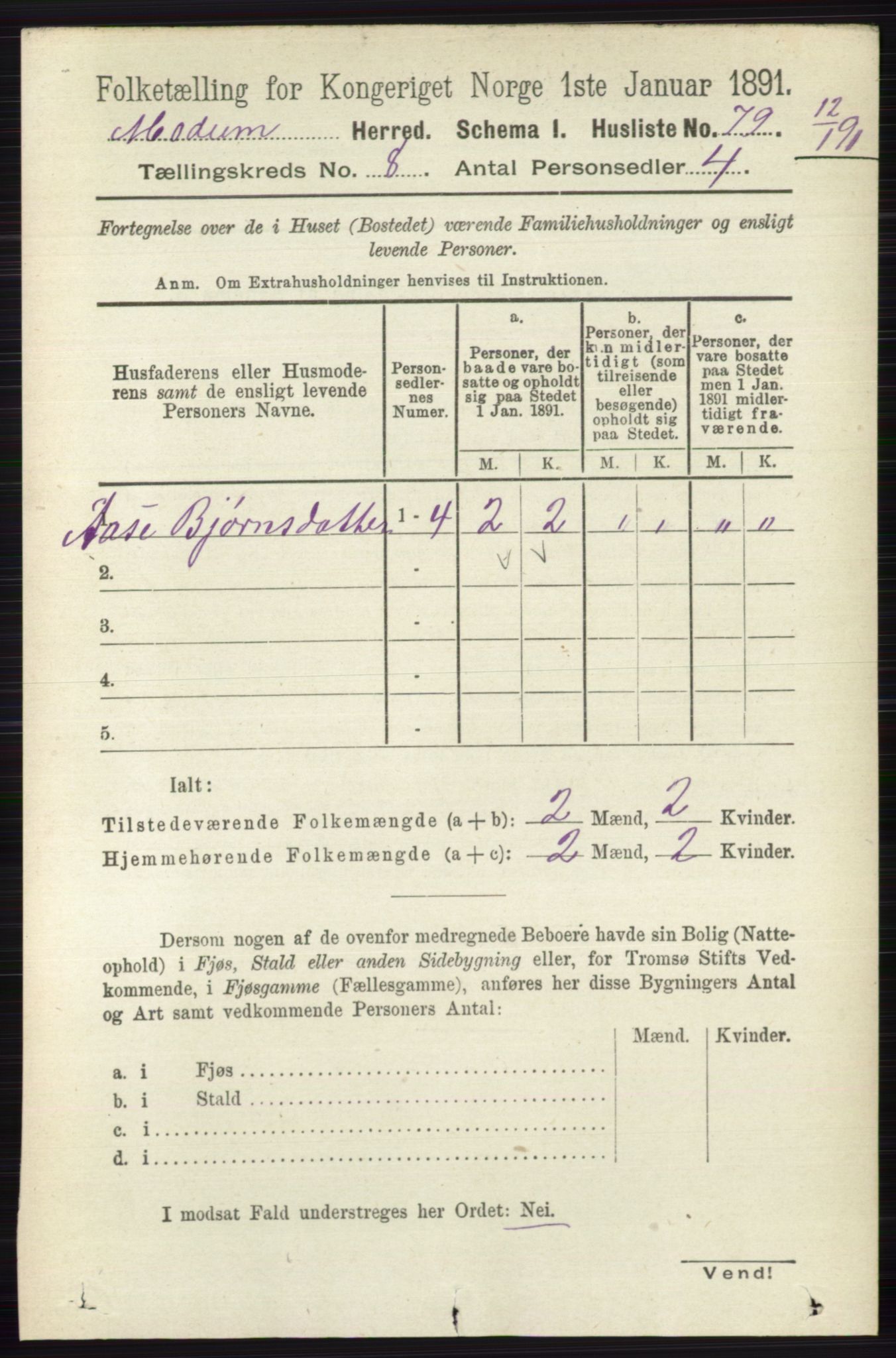 RA, Folketelling 1891 for 0623 Modum herred, 1891, s. 2862